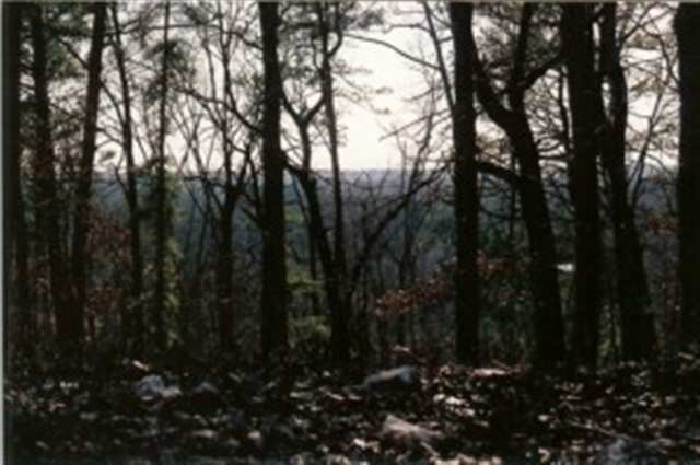 Estates at Mchenry Creek - Land