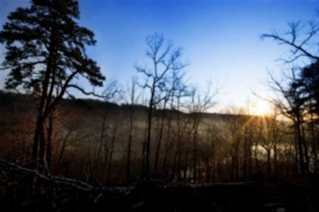 Estates at Mchenry Creek - Land