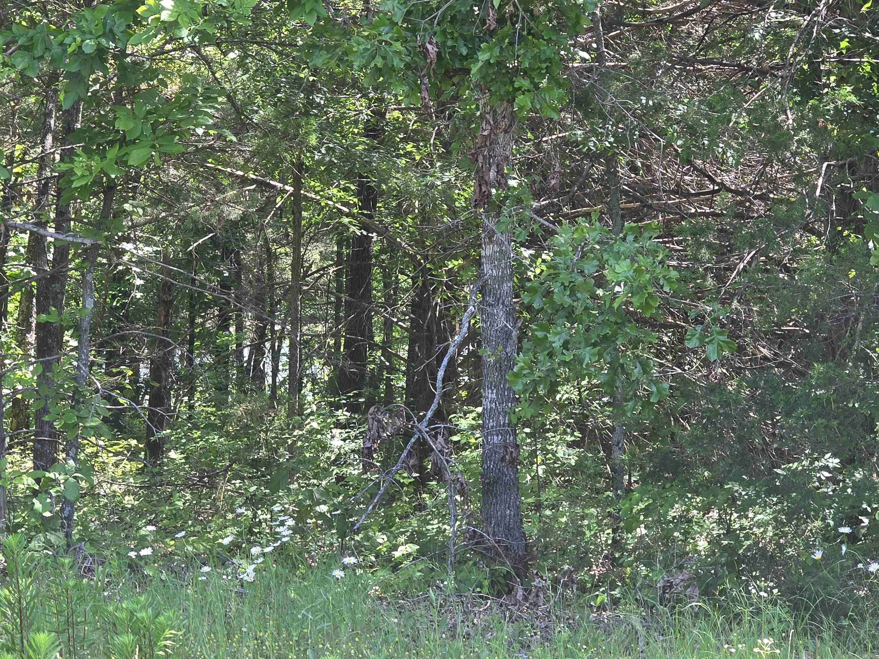 Horseshoe Bend Estates - Land