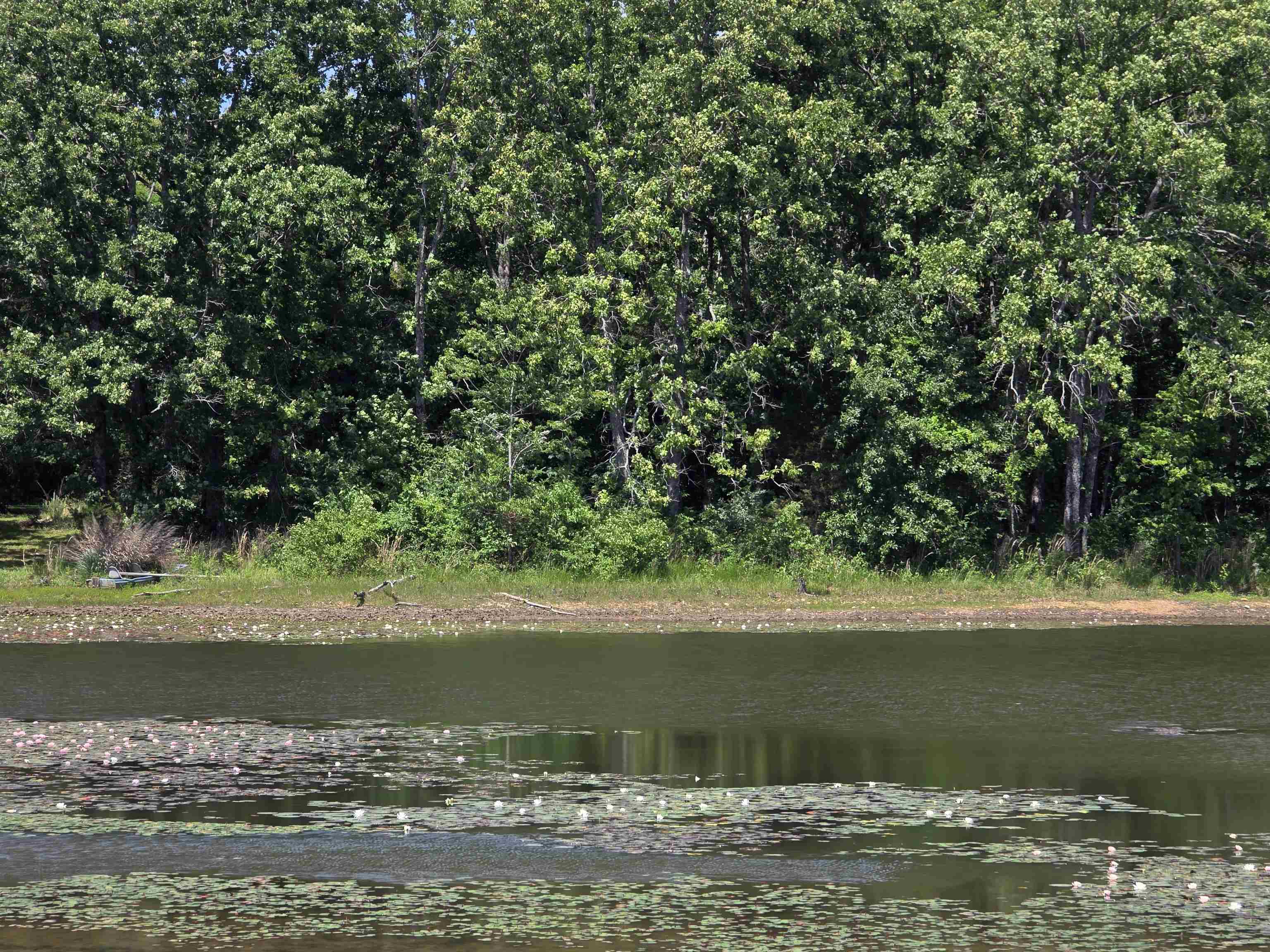 Horseshoe Bend Estates - Land