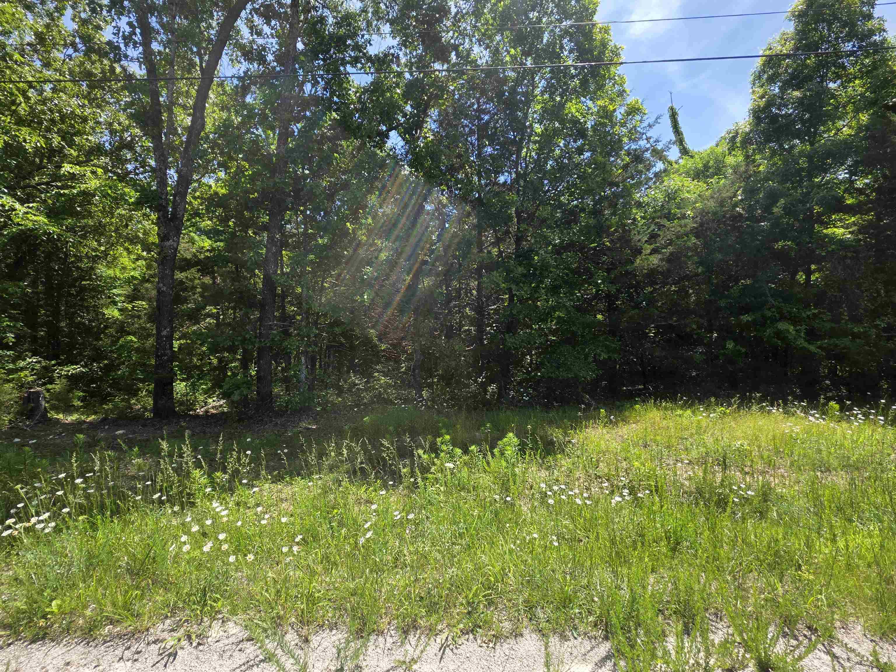 Horseshoe Bend Estates - Land