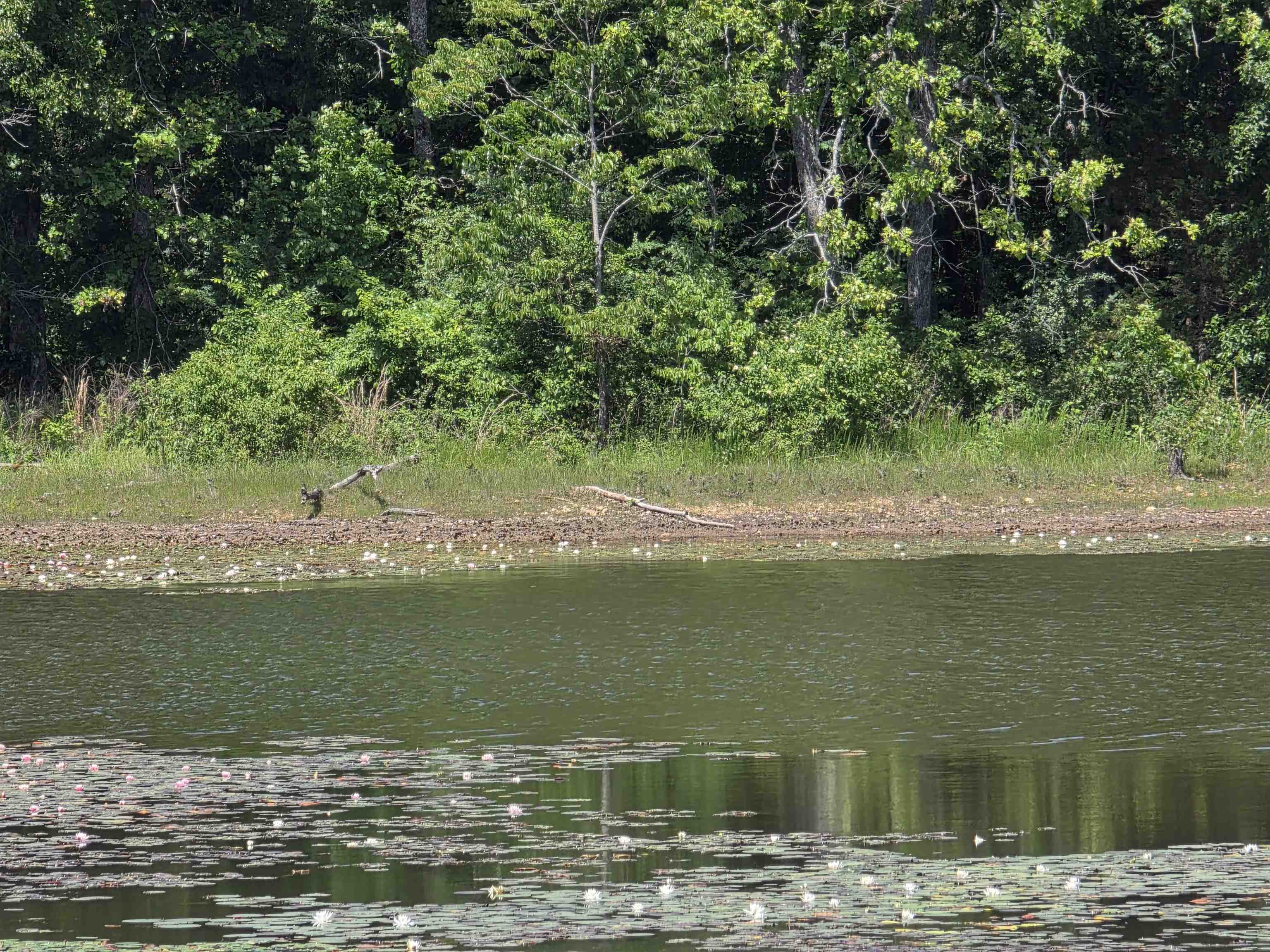 Horseshoe Bend Estates - Land