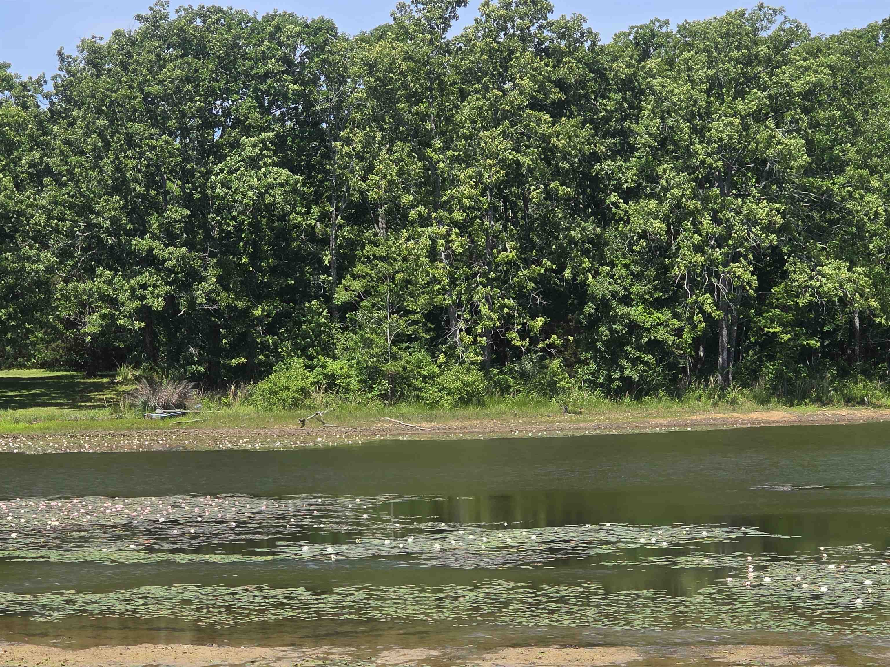 Horseshoe Bend Estates - Land