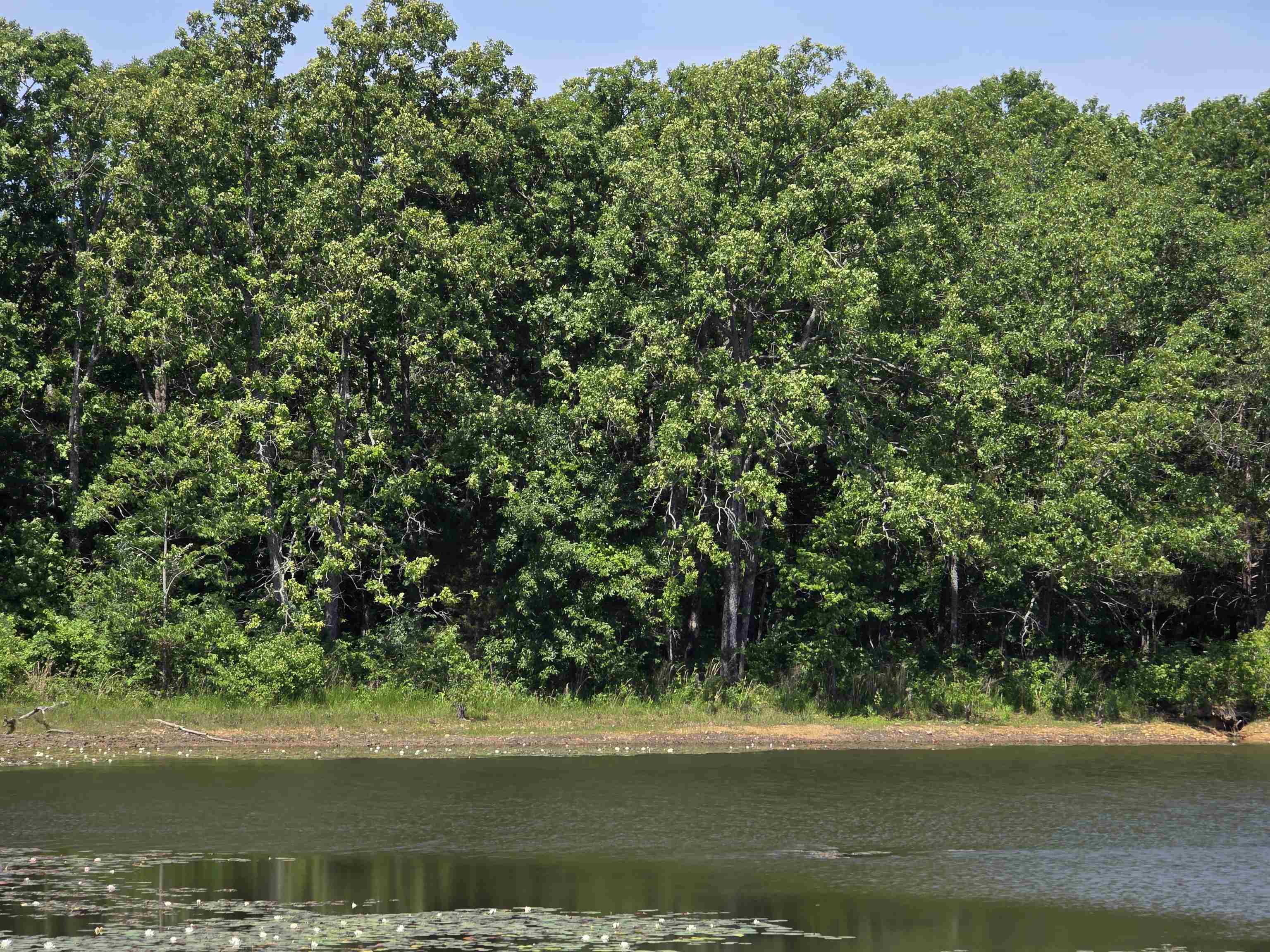 Horseshoe Bend Estates - Land