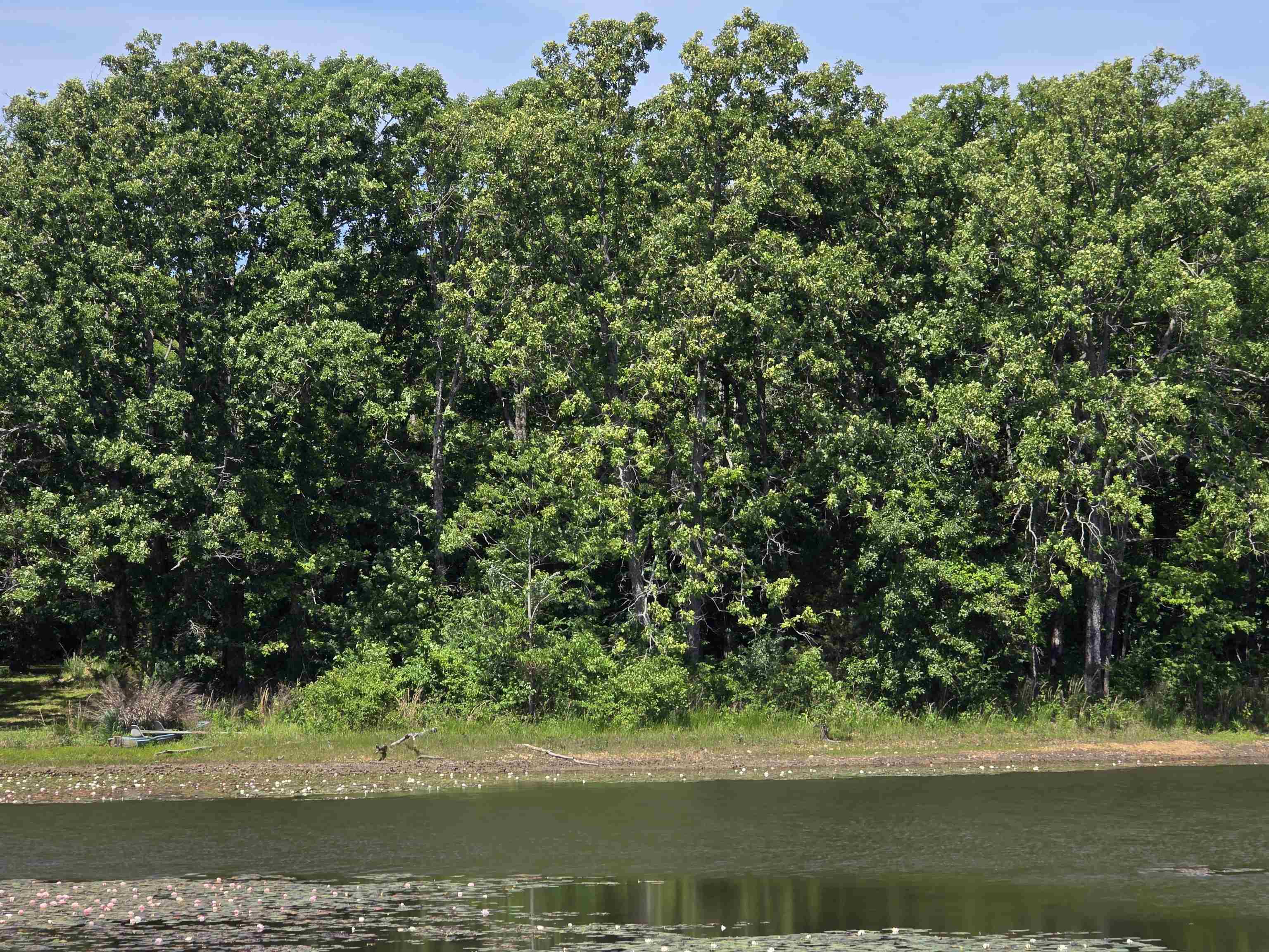 Horseshoe Bend Estates - Land