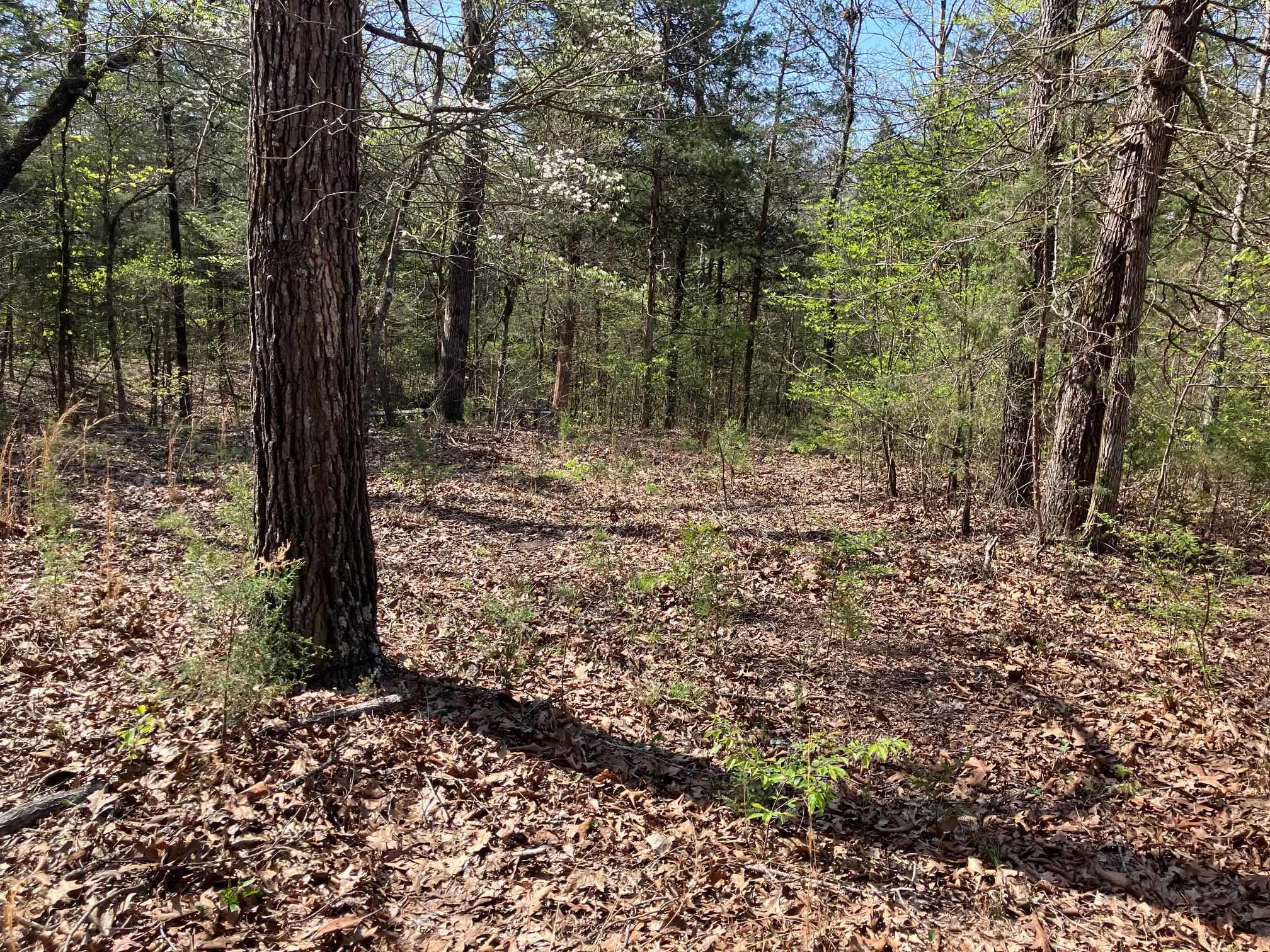 This small acreage lot, located on S River Road near Evening Shade, Arkansas, presents a fantastic opportunity for outdoor enthusiasts. Nice location for a camper/RV. Has weather head and meter base on the electric pole on the road. Good hunting with a level spot on the back of the property with a stand that is supposed to be included with the purchase. A driveway goes over the ditch with river access and a dock. Three old trailers on the land will not stay.