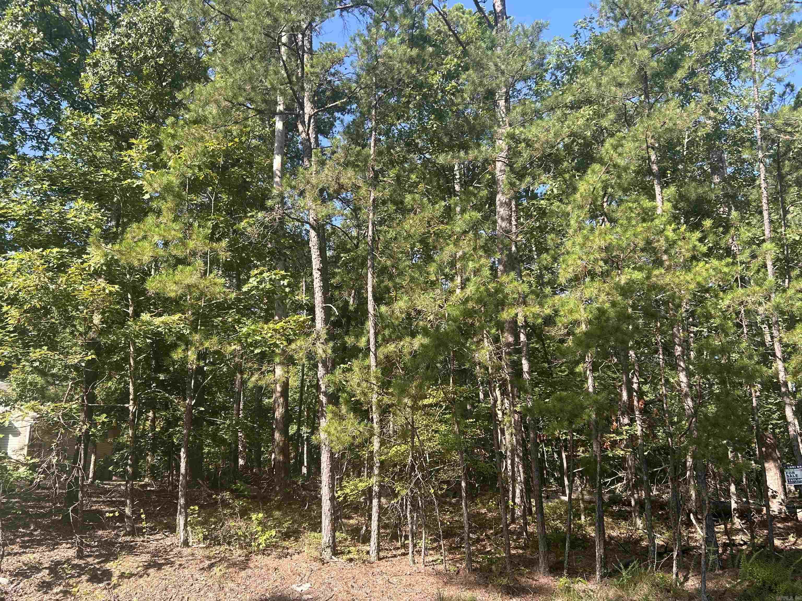 Check out this lovely, wooded lot across the street from Lake Largo views. This flat lot would be ideal for your new home! Call today.