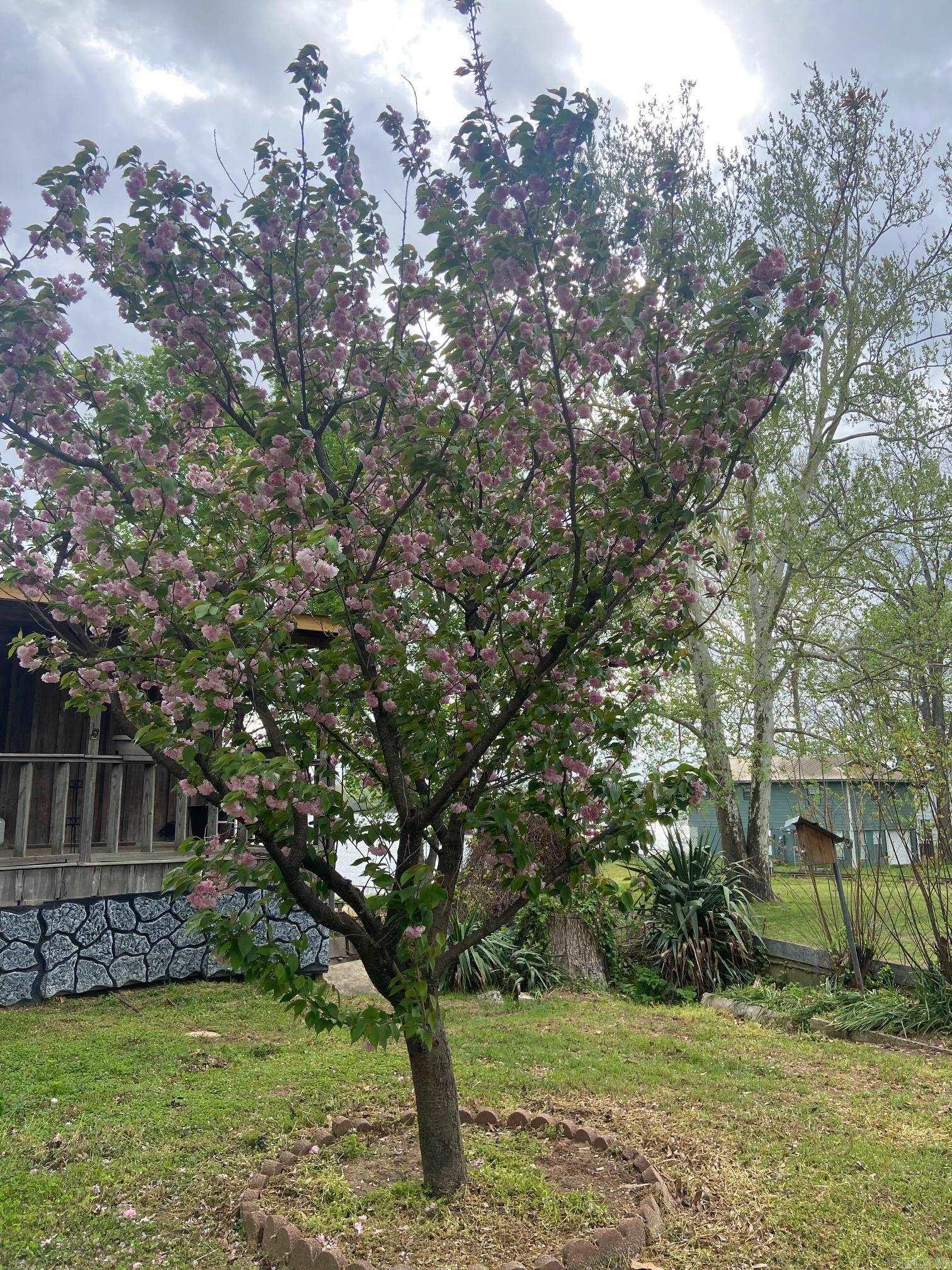 RIVERSIDE PARK - Residential