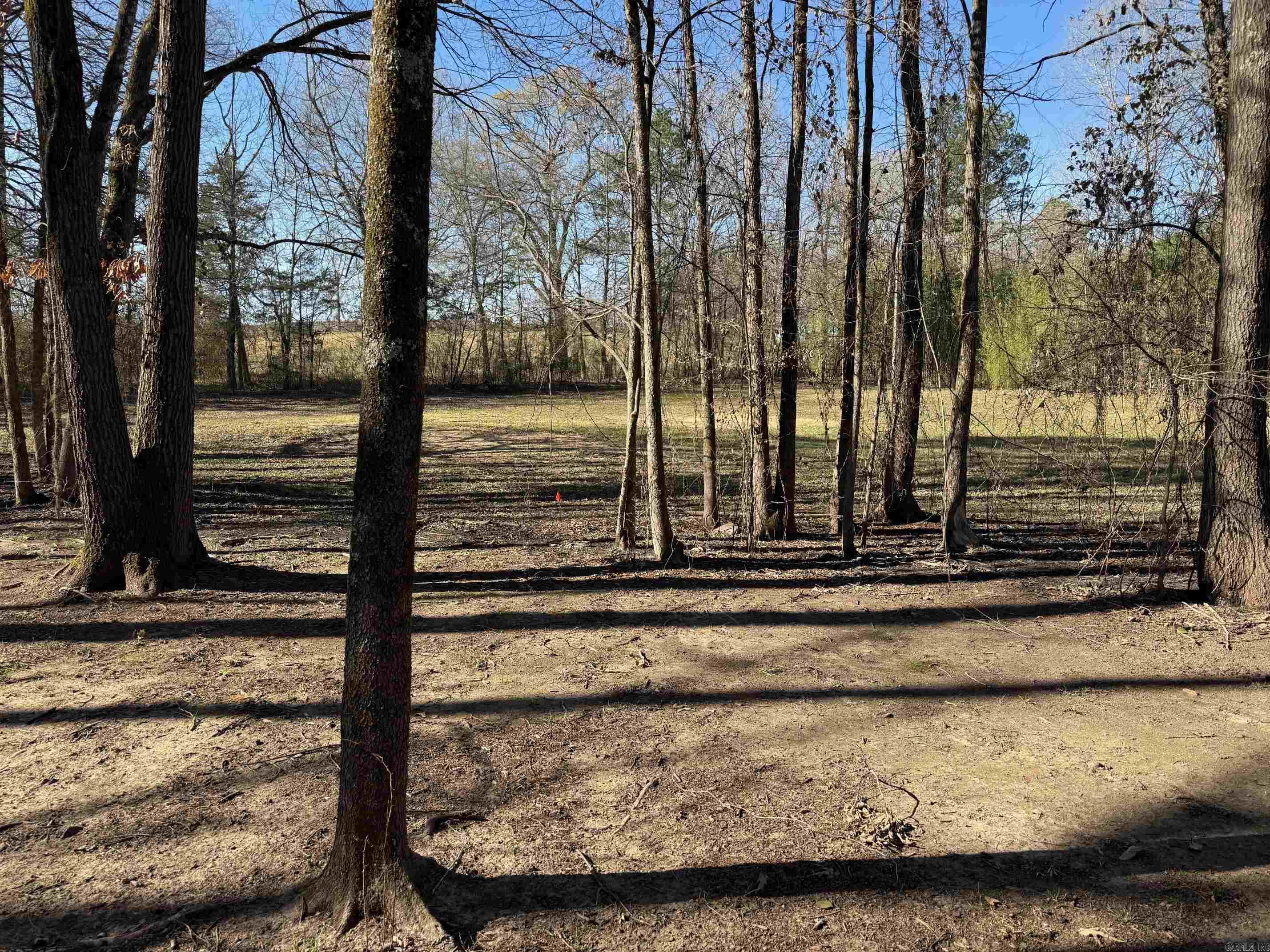 Very Nice large lot with Electric and Rural Water available! This LOT 10 comes with common area access to the Mountain Fork River! Lots of Recreation opportunities with this LOT 10! This LOT 10 also borders County Road and Pioneer Lane w