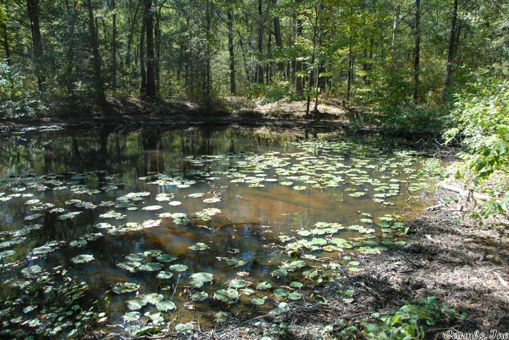 Not in Subdivision - Land