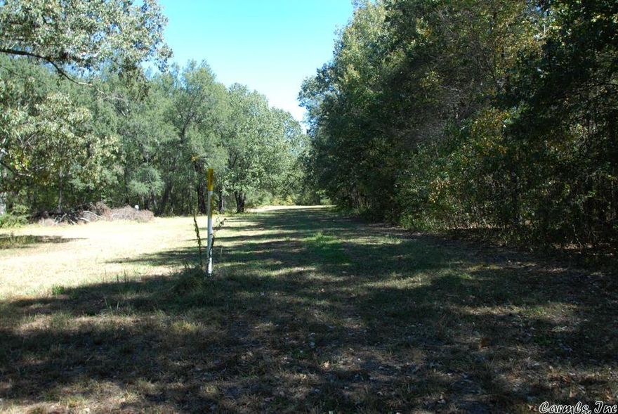 20 +/- acres Paved road frontage Newly installed fiber optic along Middle Road Minutes to downtown Conway and I-40 Mature timber Fully fenced Numerous build sites Trail system Level topography Pasture ground No Zoning