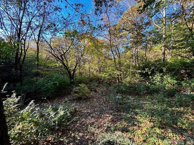 SADDLE HORN EST PH III - Residential