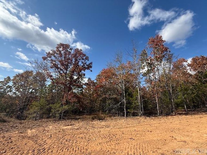 Wooded lot perfect for building your home or building a home to sale.  You could leave trees at the back of the lot for privacy.  All utilities are on the property. 1200 sq. ft. minimum