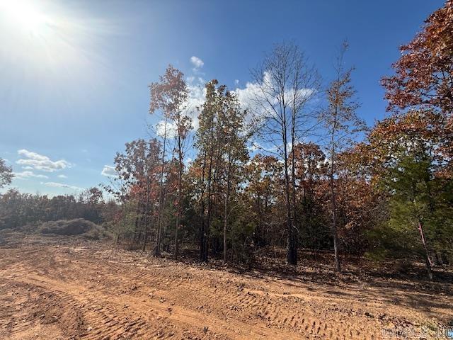 SUMMERLYN SUBDIVISION - Land