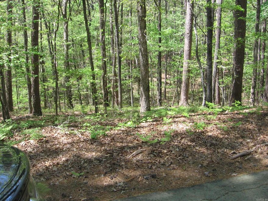 POSSIBLE VIEW LOT ABOVE LAKE DESOTO. LOOKS DOW ON NICE HOMES BELOW.