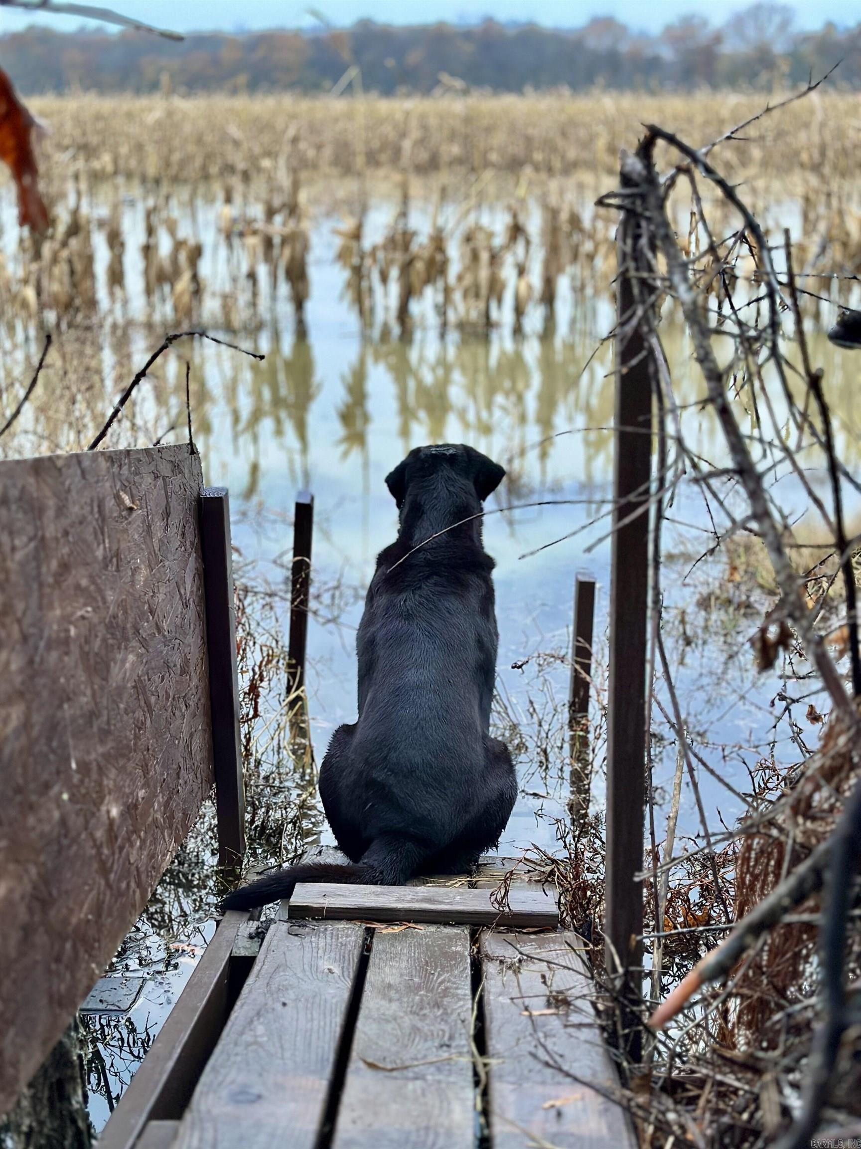 Metes & Bounds - Farm