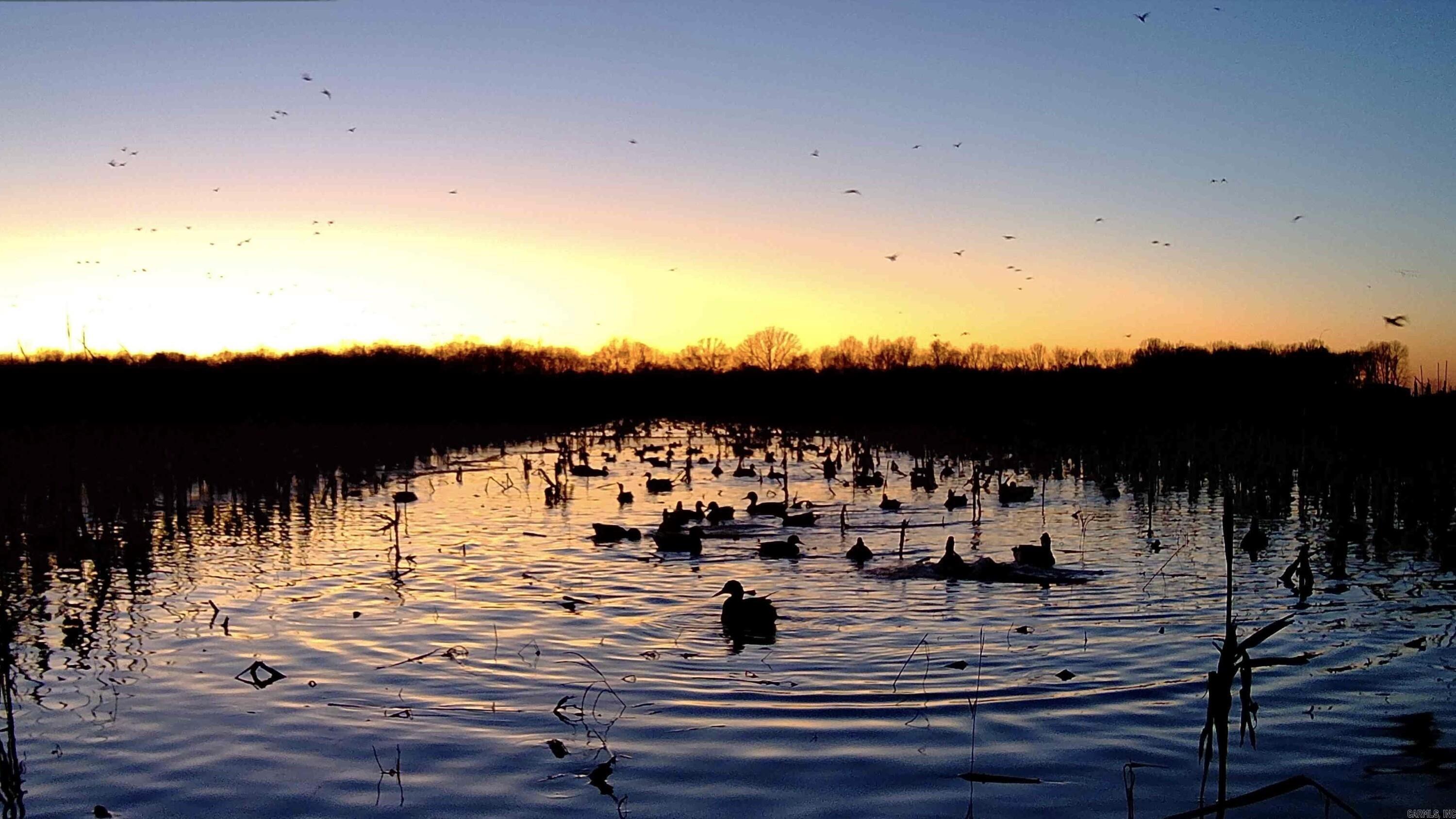 Metes & Bounds - Farm