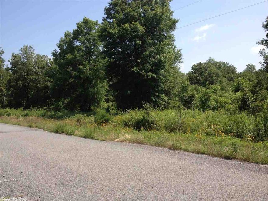 Very nice wooded lot. Private with nice paved road