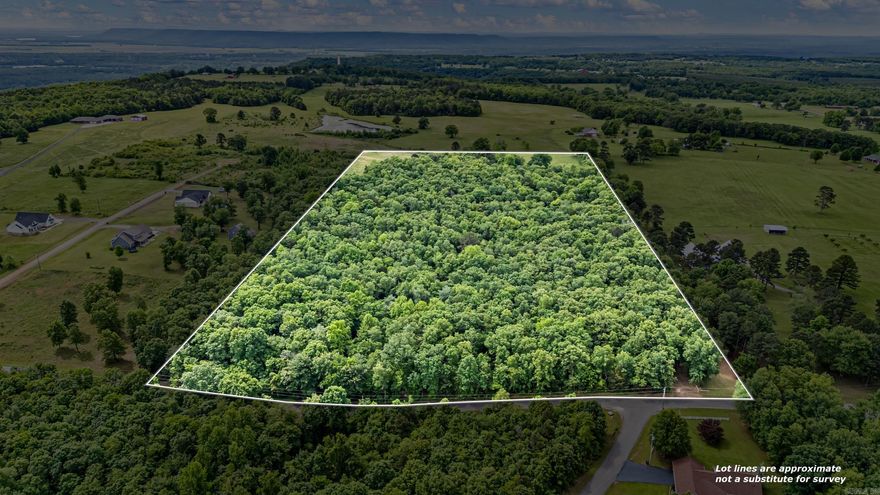 20 acres on Crow Mountain Road offering a great blend of open and wooded land with endless potential. Approximately 4.72 acres are cleared and ready for building, while 15.28 acres of wooded terrain provide privacy, natural beauty, and recreational opportunities. Located in a desirable area on Crow Mountain, this property features gently rolling topography typical of the area, making it well-suited for development, or private estate. Ideal for investors, builders, or anyone looking to create their own secluded retreat with convenient access to Russellville. Plenty of room to expand, build, or simply enjoy the surrounding landscape.