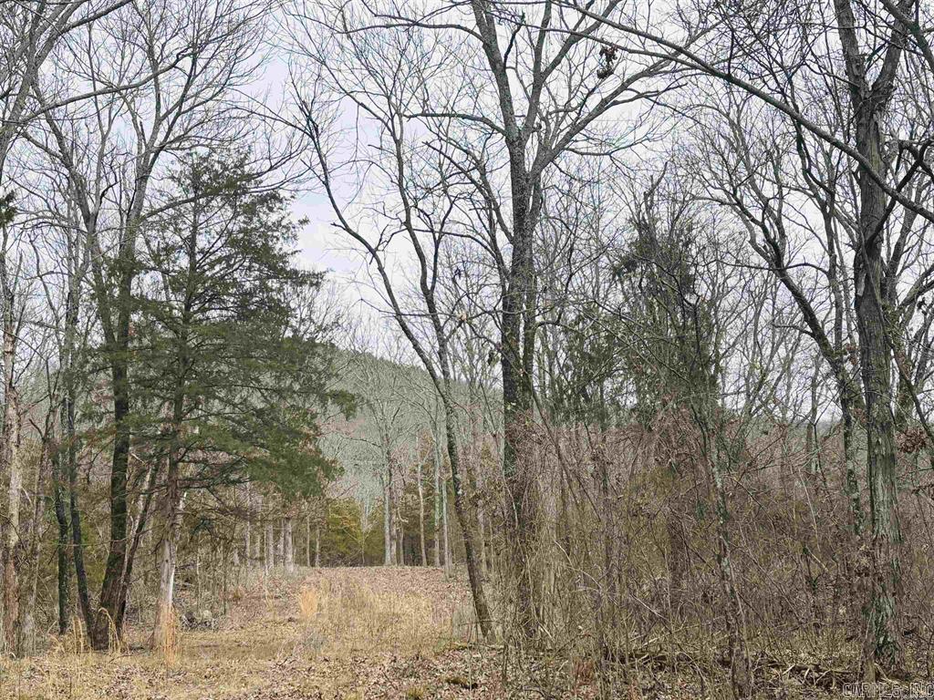 Rare find! These beautiful 18 MOL woodland acres are conveniently located within the city limits of Marshall AND front US Highway 65 near the famous Devil's Backbone Mountain overlook! With the gorgeous mountain and sunset views the Ozarks are known for, this unique property is perfect for constructing your dream home, a vacation getaway in the city known as the front door of the Buffalo Natl River, or for commercial use with visibility to millions of passers-by traveling through. An additional 4 acres, residential use only, fronting Range Street is also for sale. Call today for more information or to set up an appointment to view.