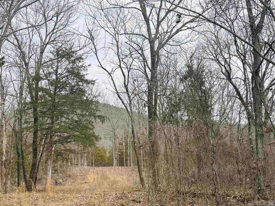 Rare find! These beautiful 18 MOL woodland acres are conveniently located within the city limits of Marshall AND front US Highway 65 near the famous Devil's Backbone Mountain overlook! With the gorgeous mountain and sunset views the Ozarks are known for, this unique property is perfect for constructing your dream home, a vacation getaway in the city known as the front door of the Buffalo Natl River, or for commercial use with visibility to millions of passers-by traveling through. An additional 4 acres, residential use only, fronting Range Street is also for sale. Call today for more information or to set up an appointment to view.