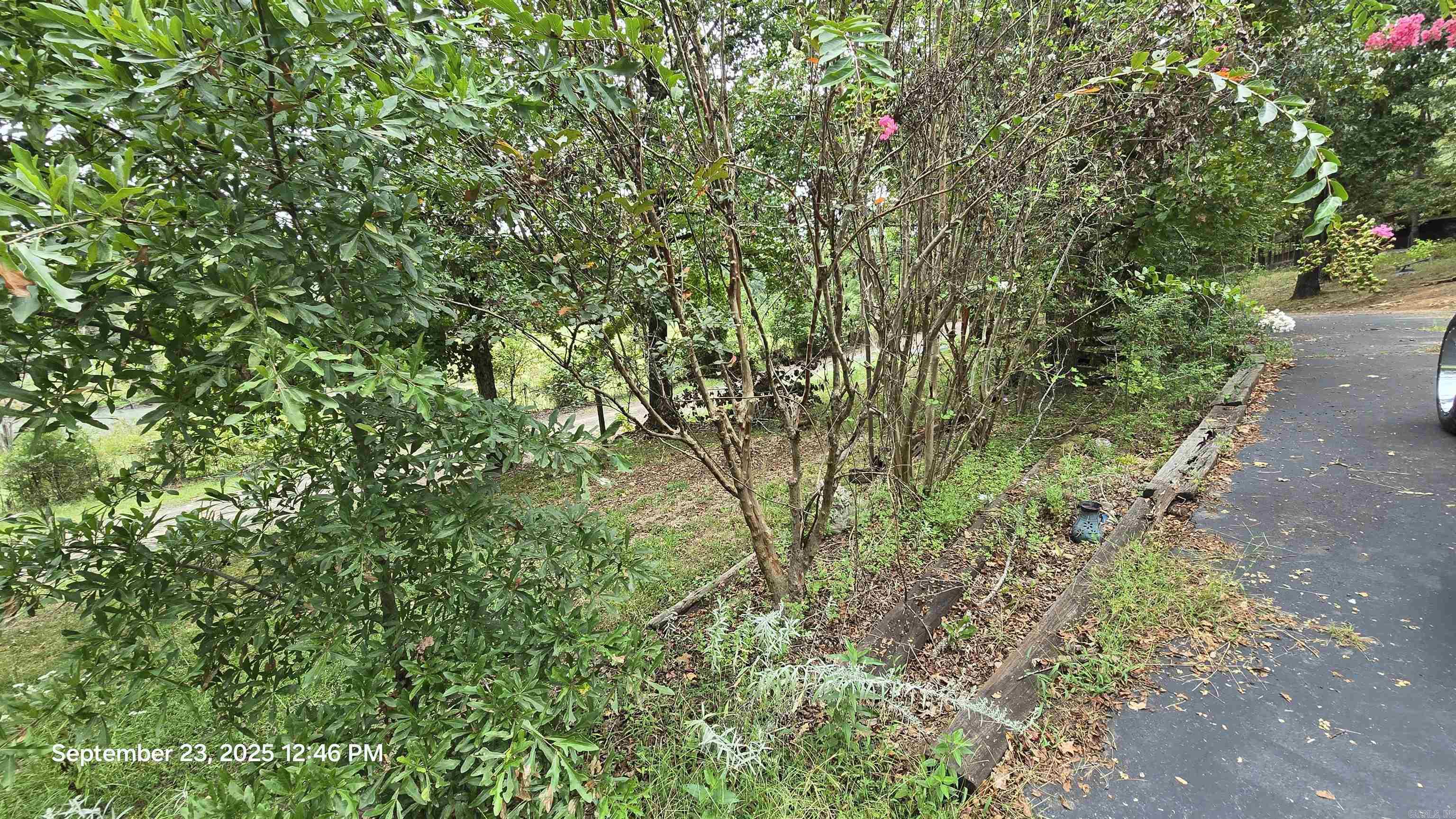 PETER ROCK ACRES - Residential