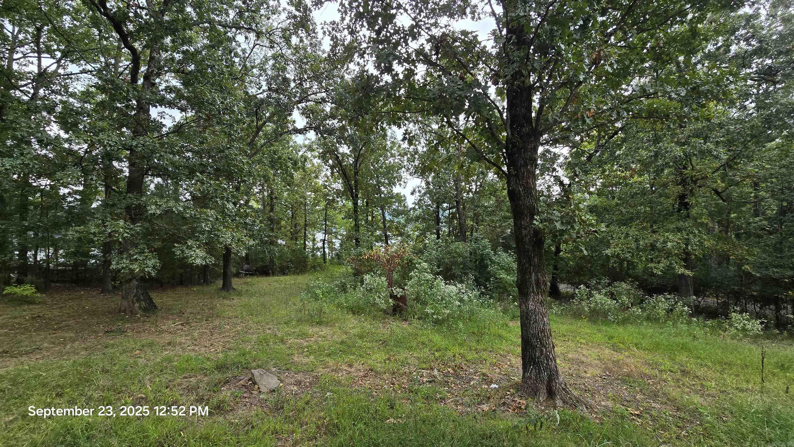 PETER ROCK ACRES - Residential