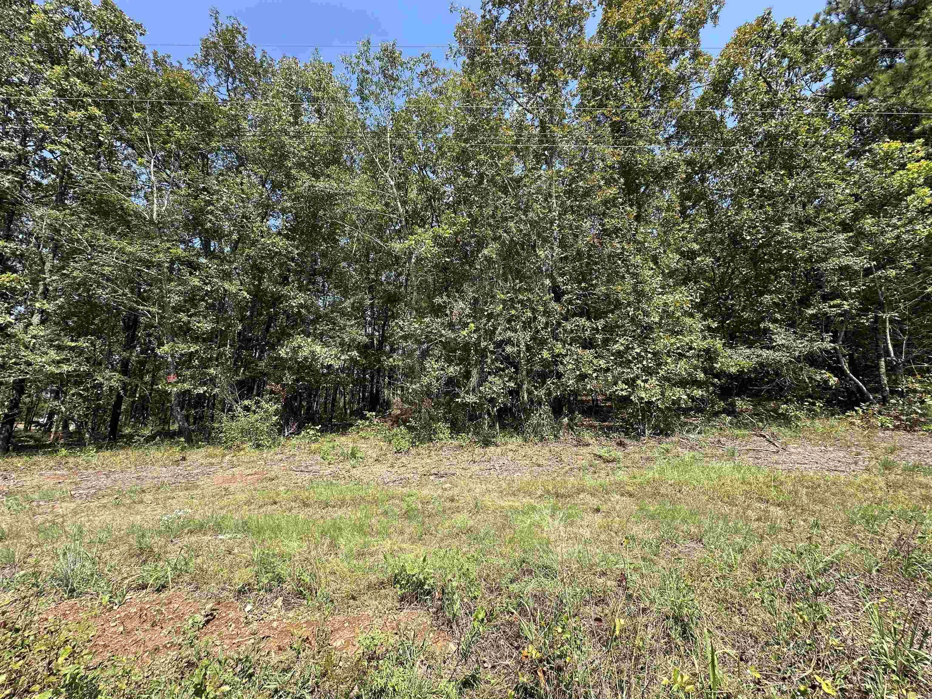 Looking for a place to build your dream home? Take a look at this large 1 acre lot with utilities conveniently located at the front by the road. large lots are a rare find in the area and there are two available if you are interested in more privacy or want more acreage. Call for more details