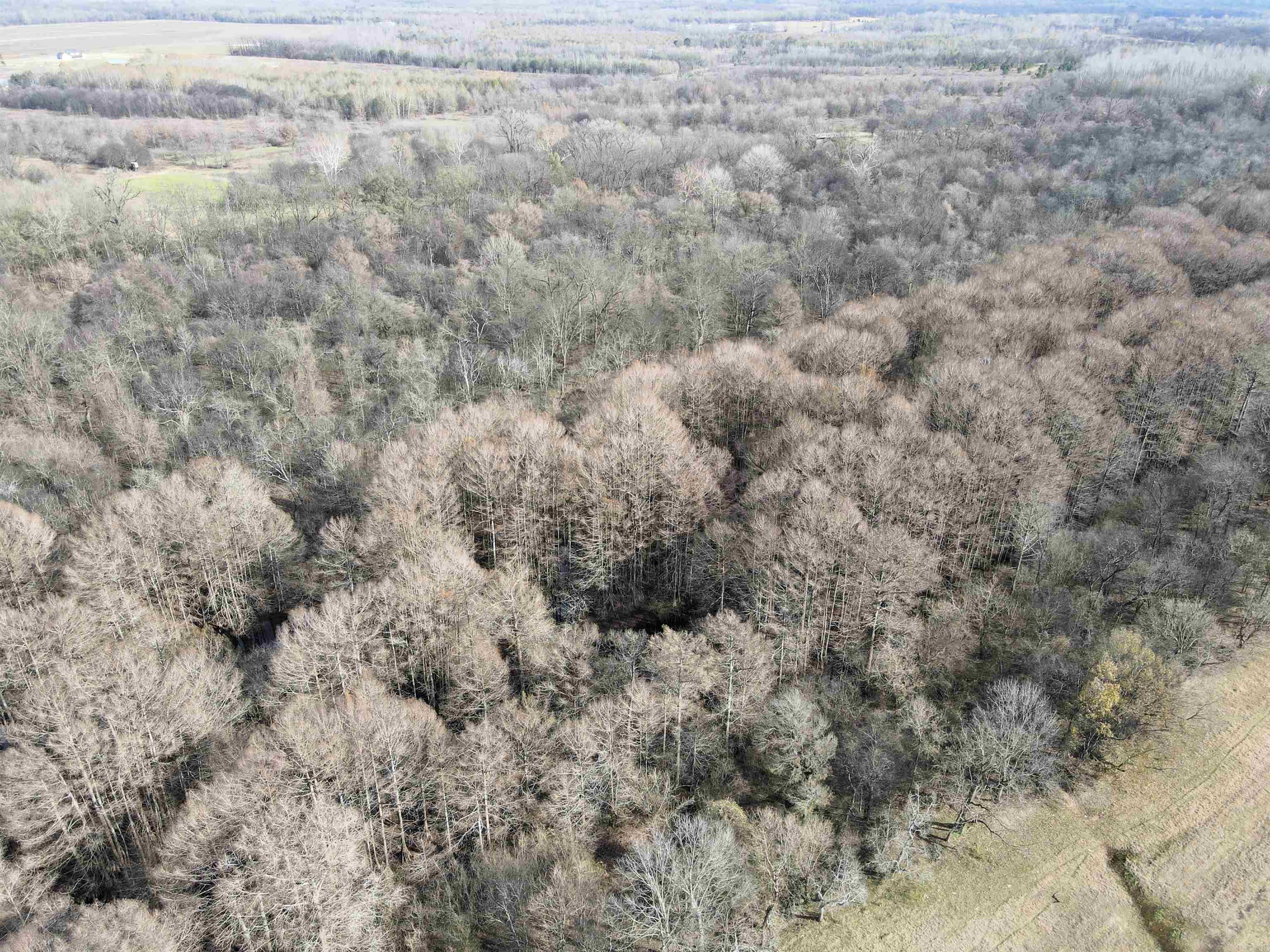 Not in Subdivision - Farm