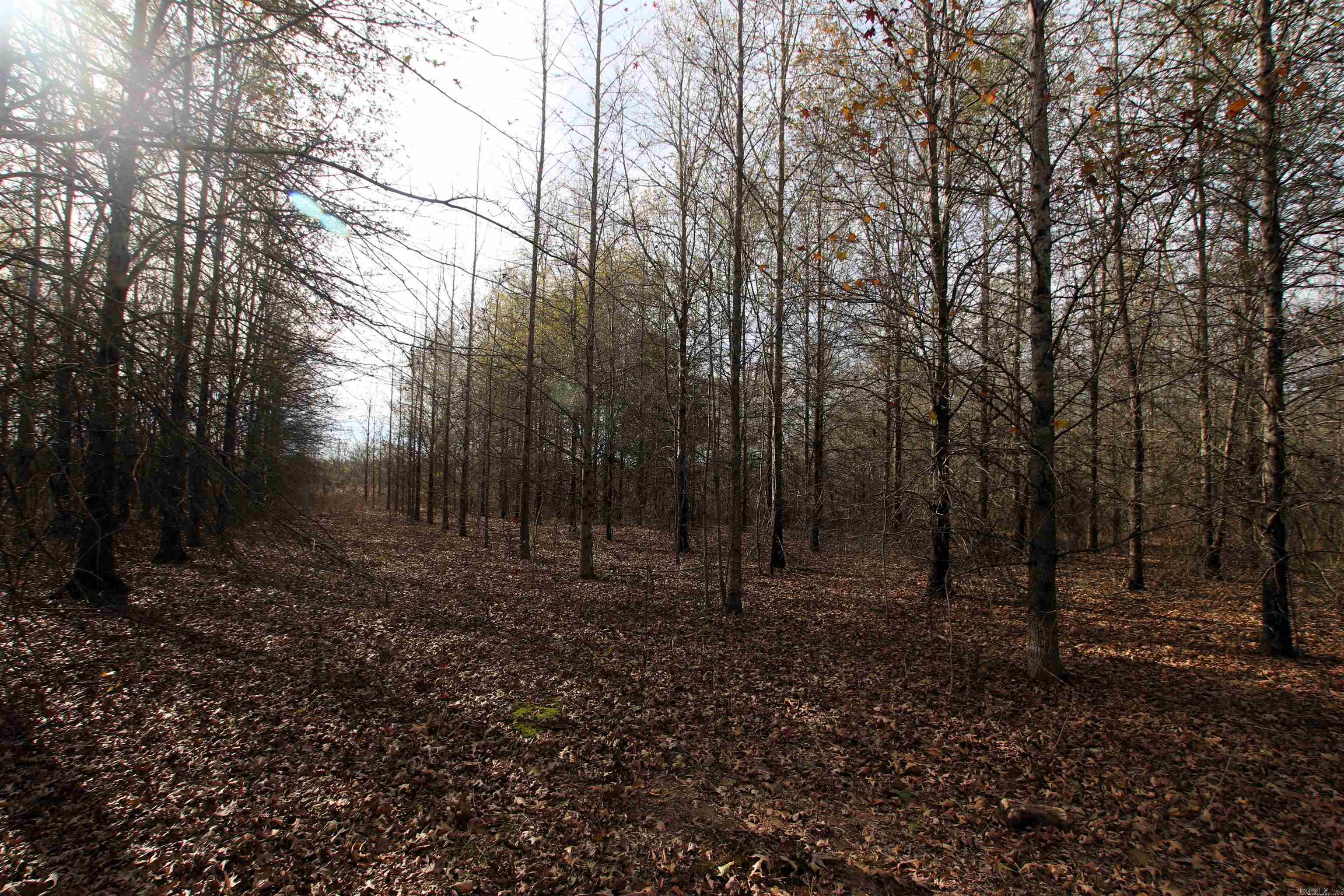 Not in Subdivision - Farm