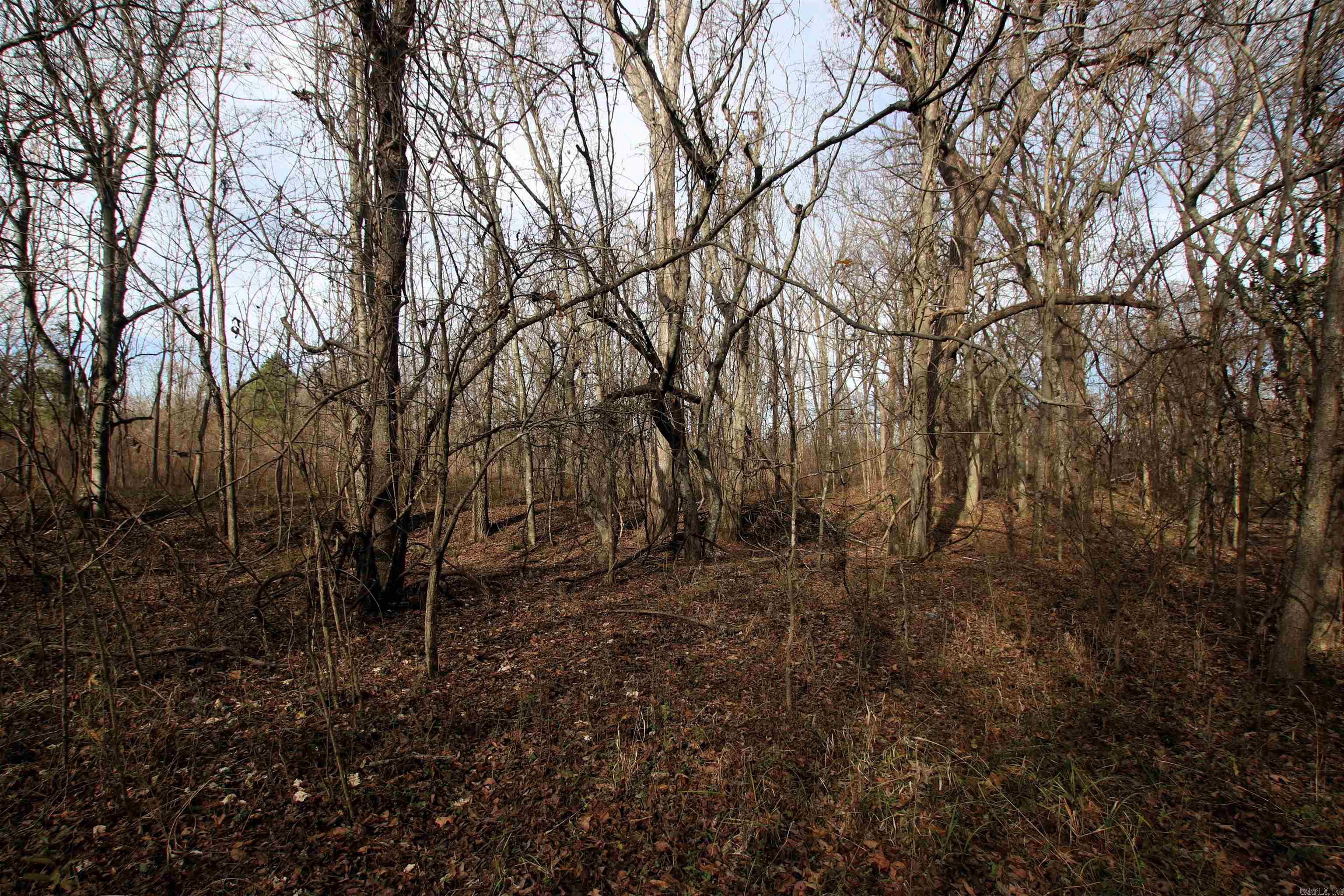 Not in Subdivision - Farm