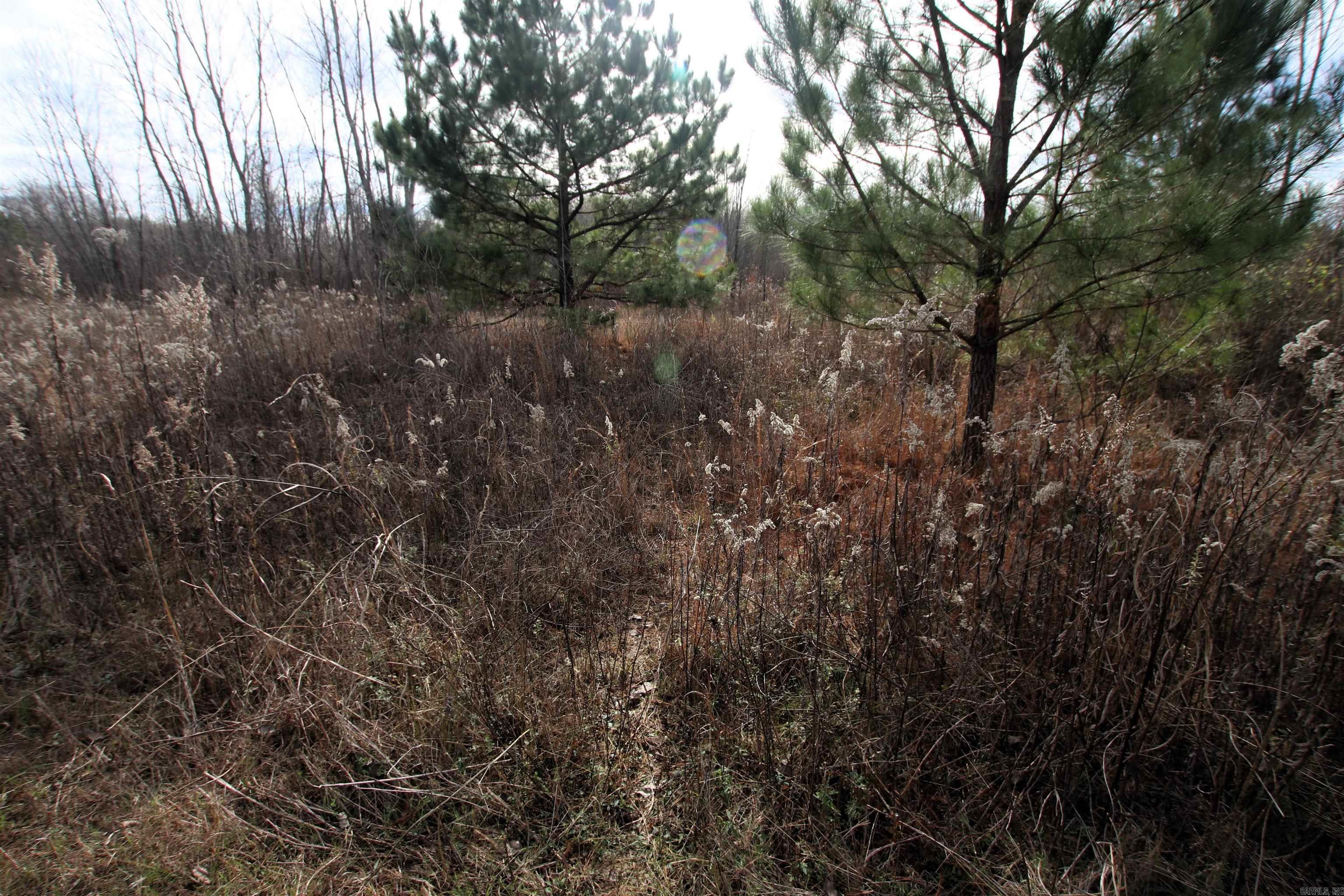 Not in Subdivision - Farm