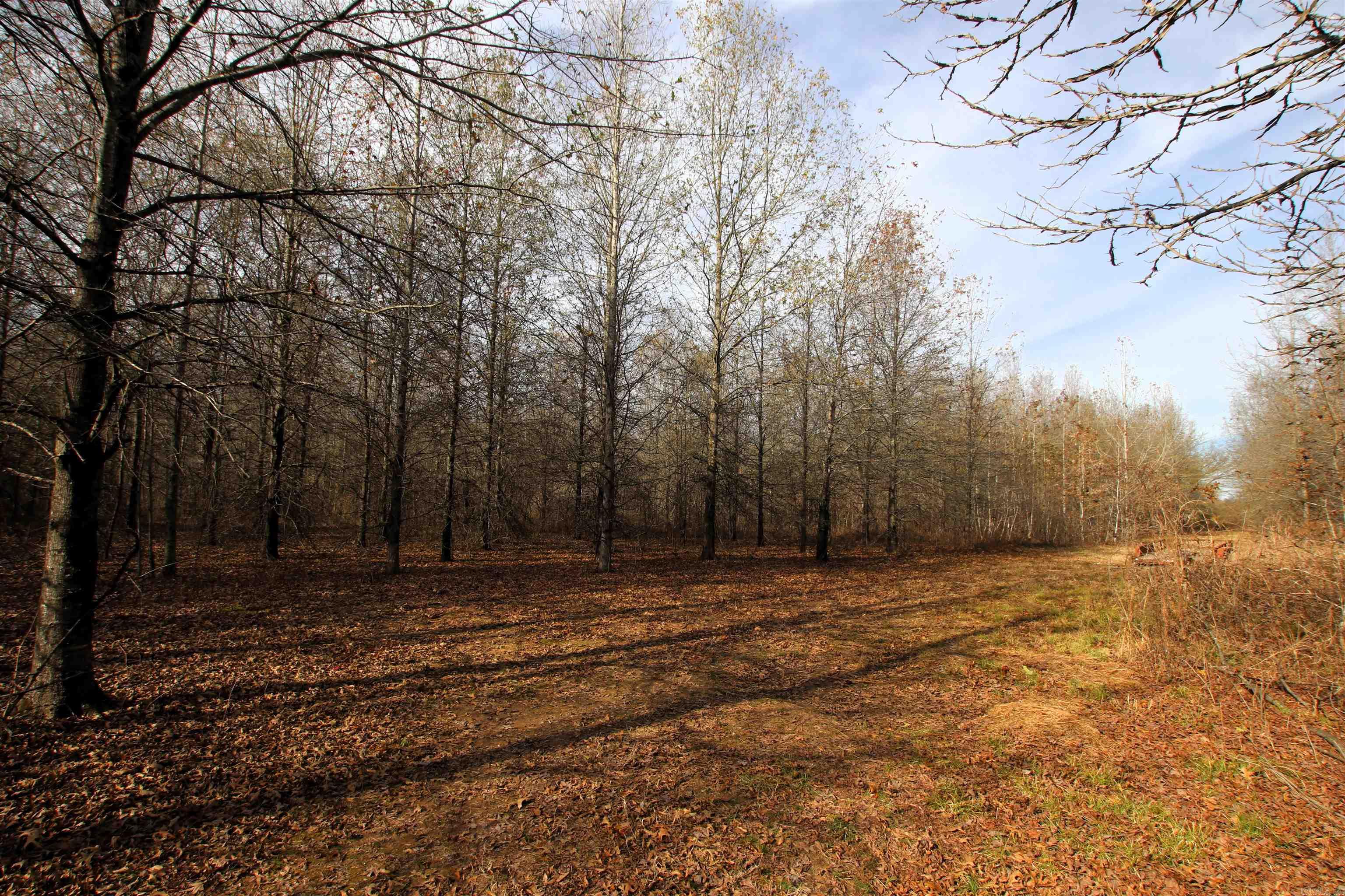 Not in Subdivision - Farm