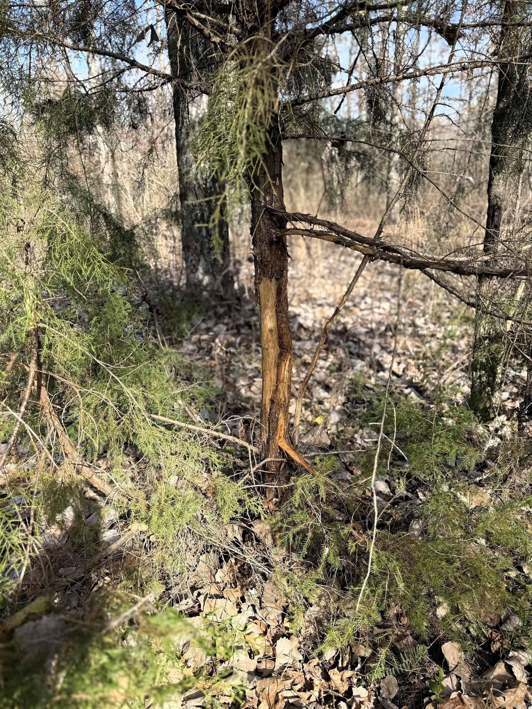 Not in Subdivision - Farm