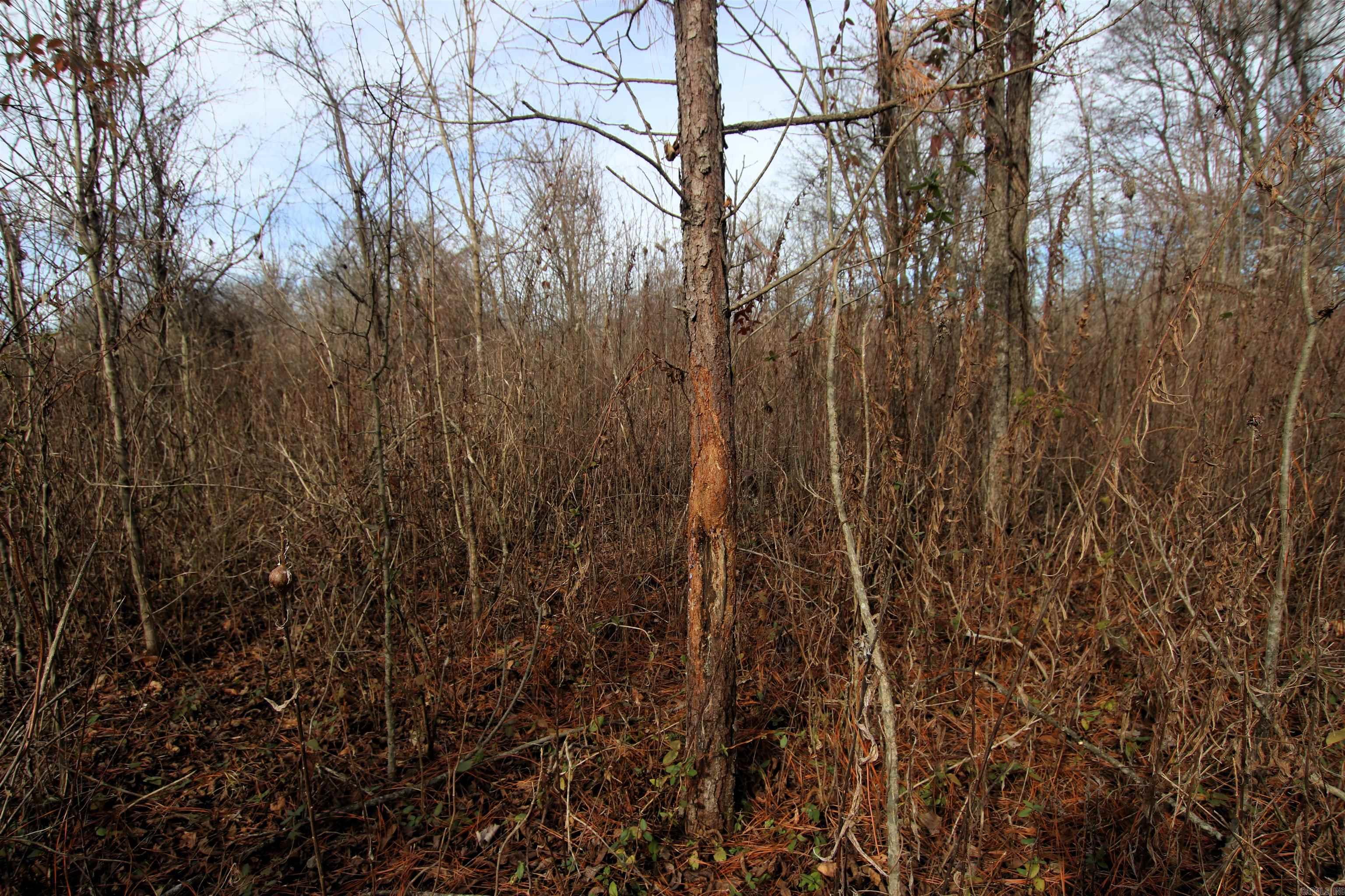 Not in Subdivision - Farm