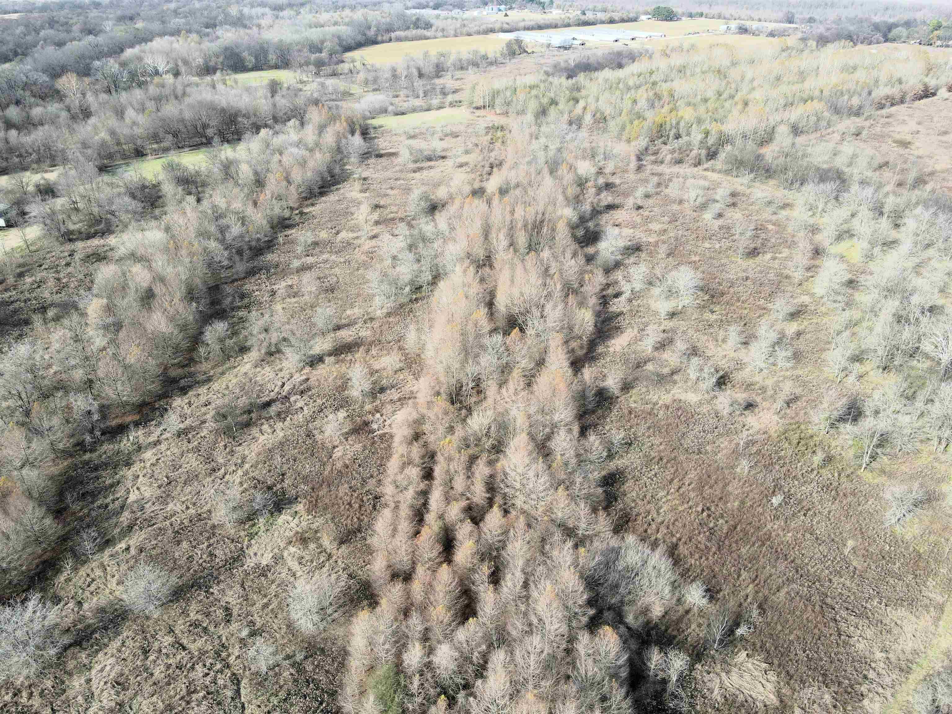 Not in Subdivision - Farm