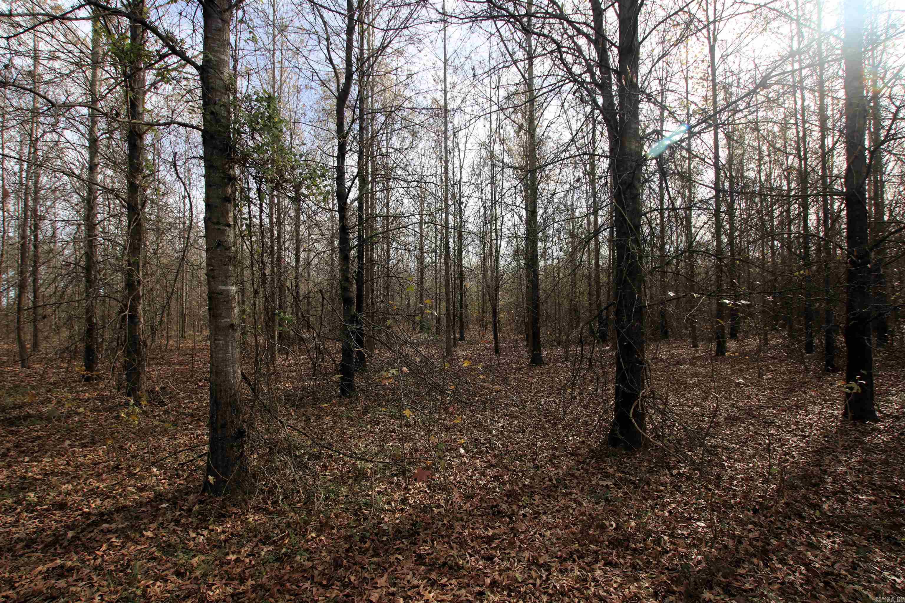 Not in Subdivision - Farm