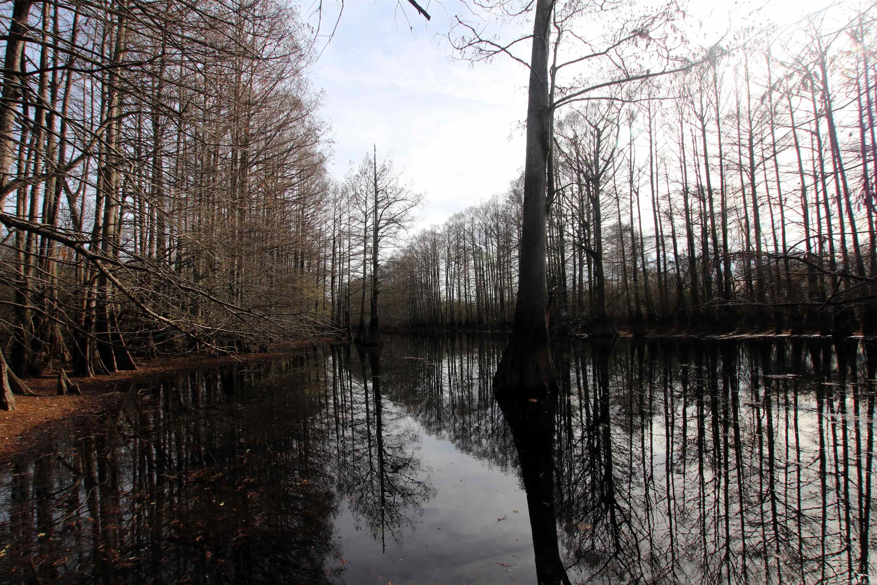 Not in Subdivision - Farm