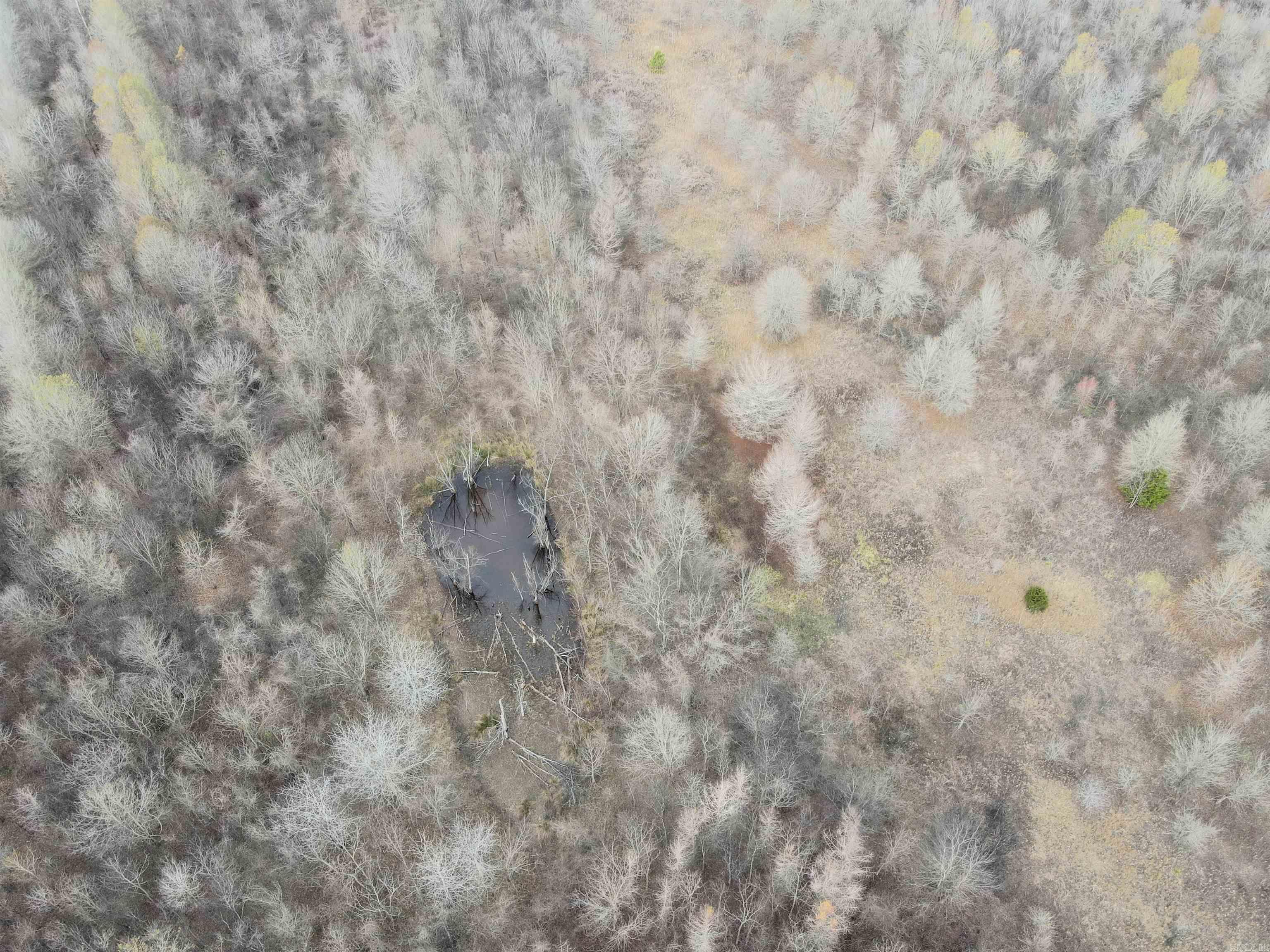 Not in Subdivision - Farm