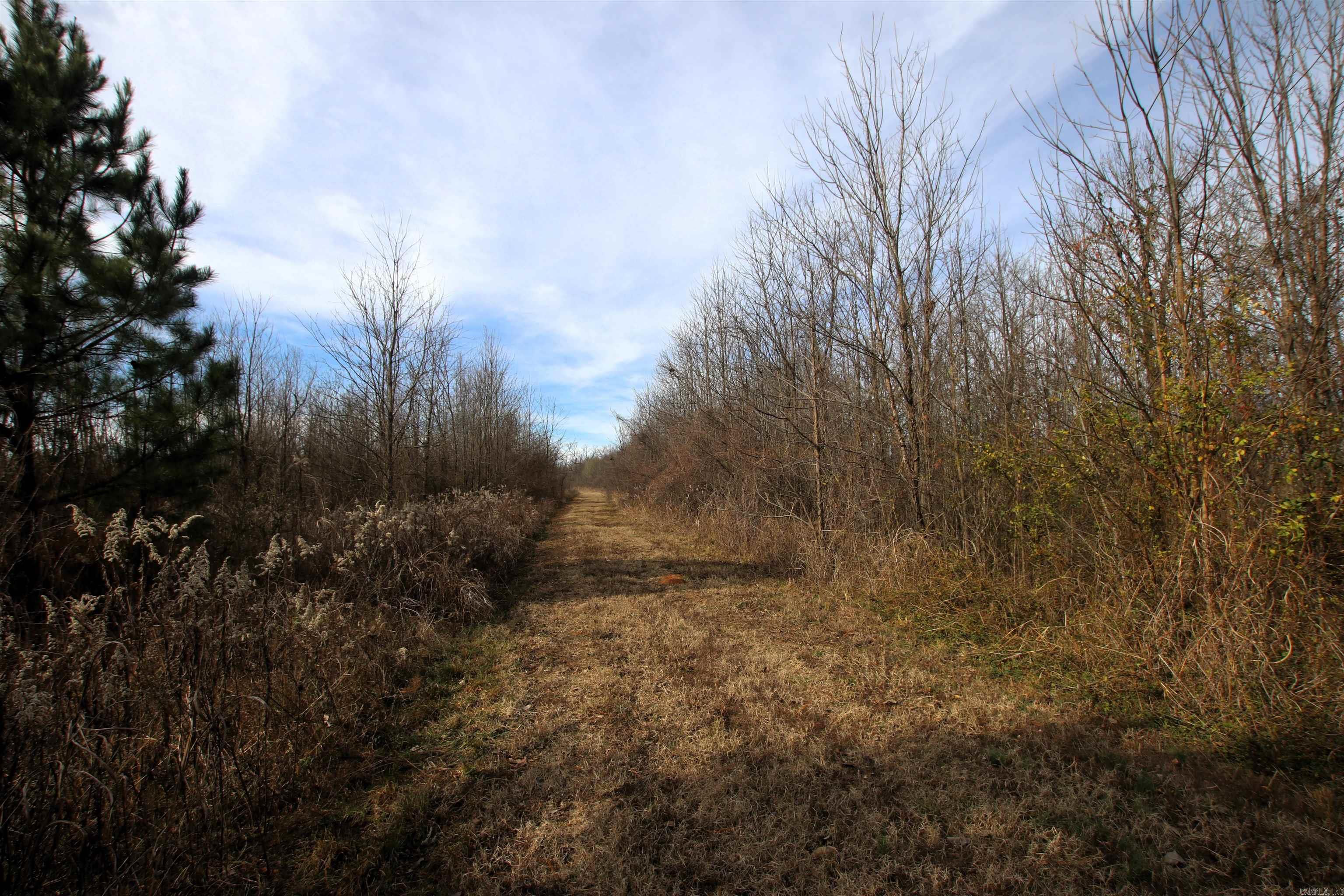 Not in Subdivision - Farm