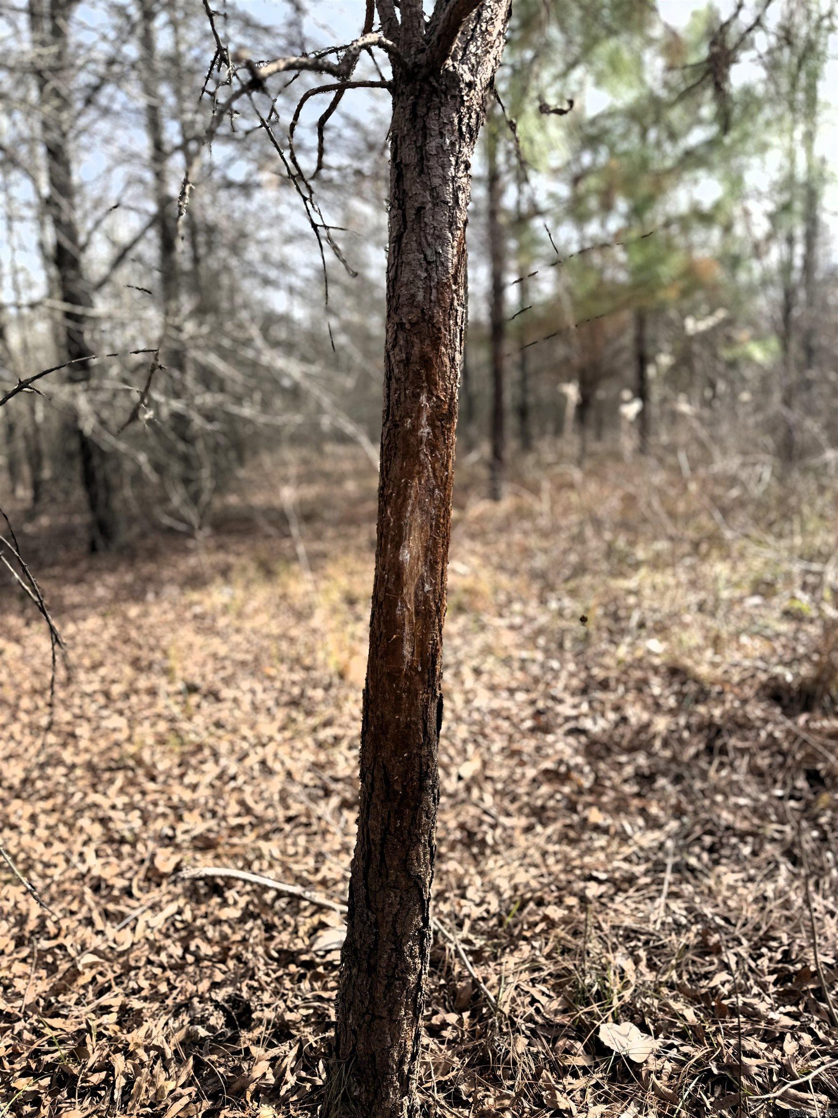 Not in Subdivision - Farm