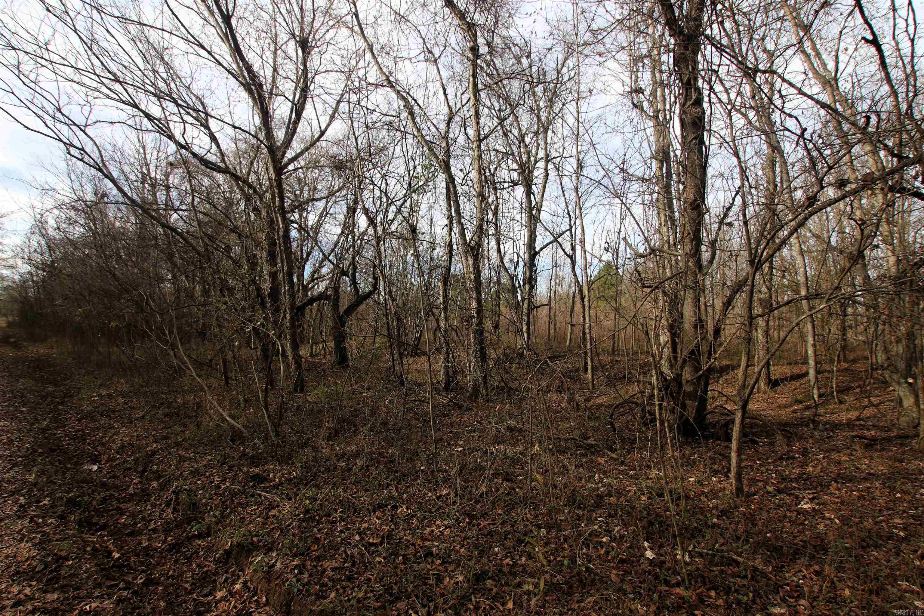 Not in Subdivision - Farm