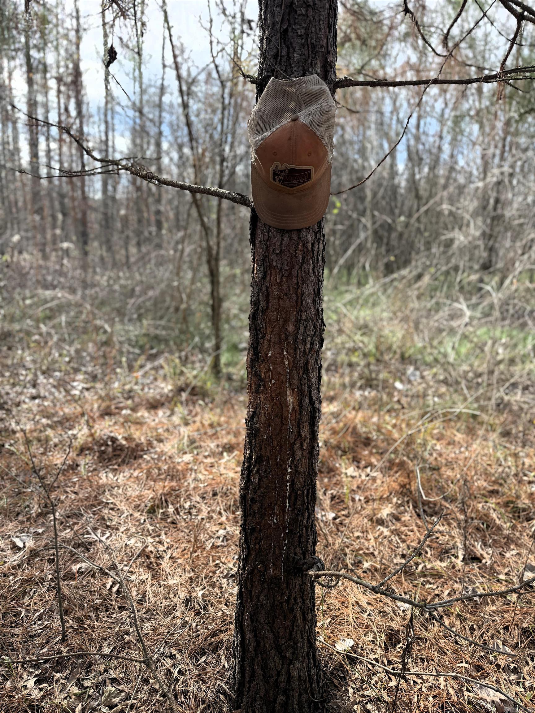 Not in Subdivision - Farm