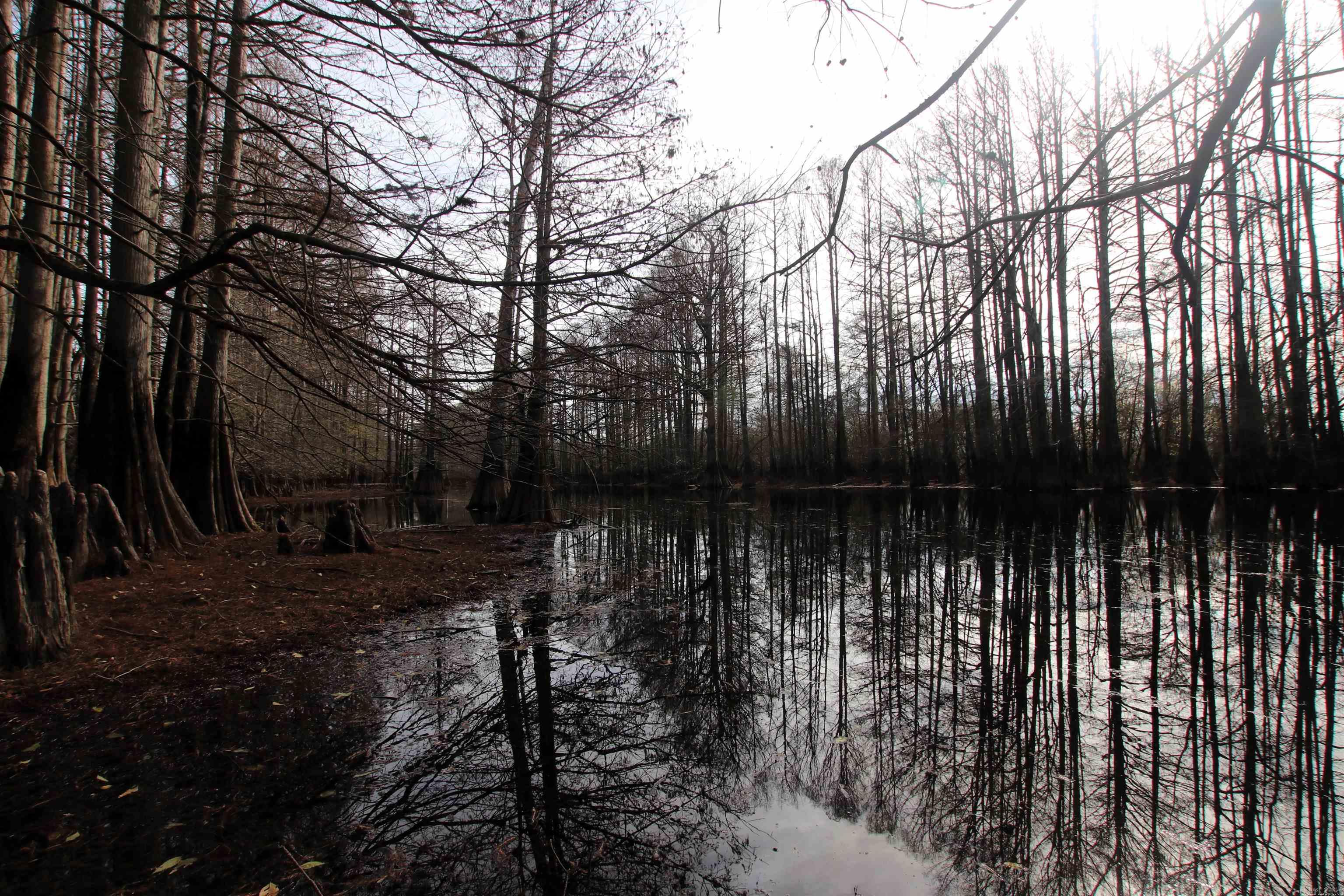 Not in Subdivision - Farm