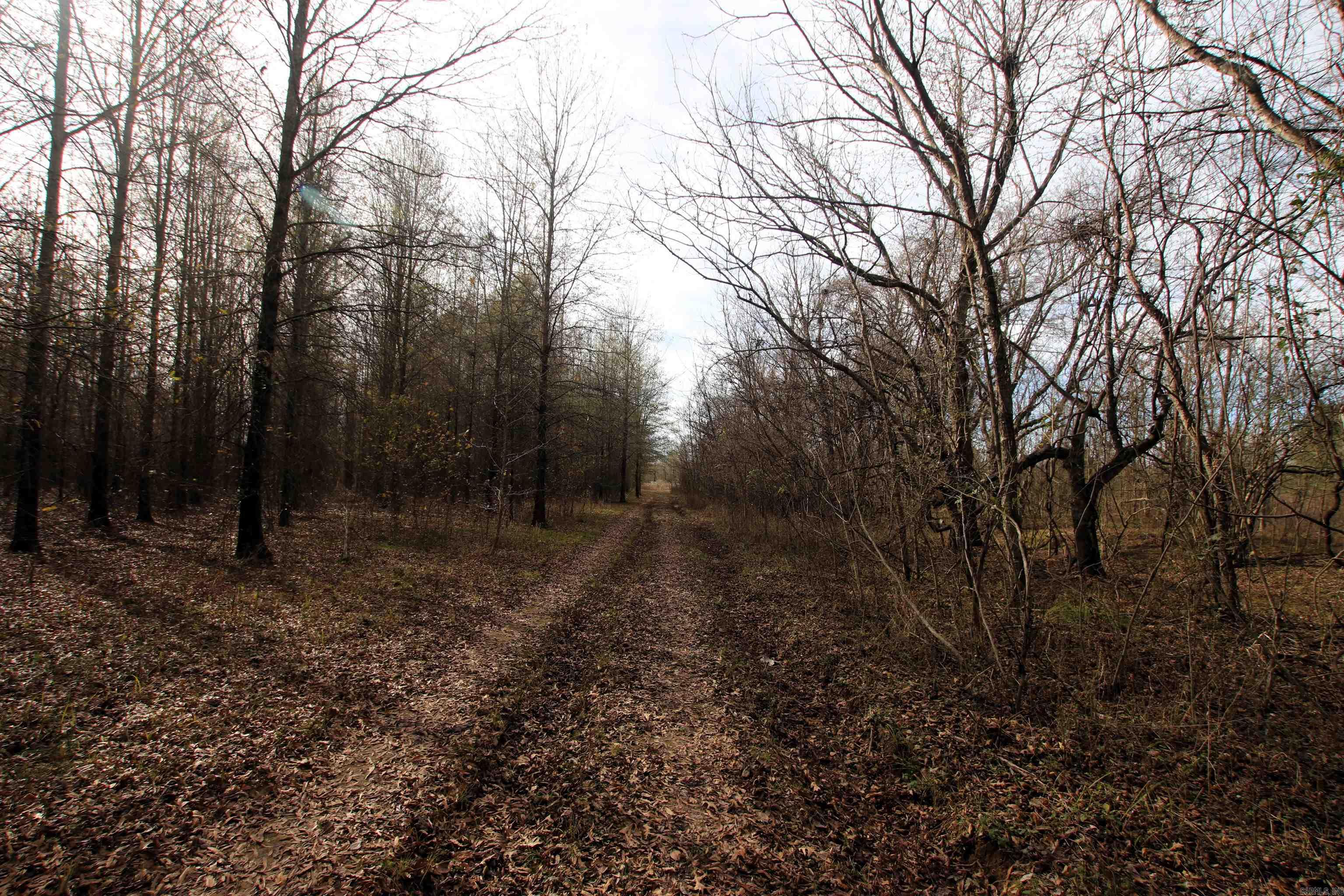 Not in Subdivision - Farm