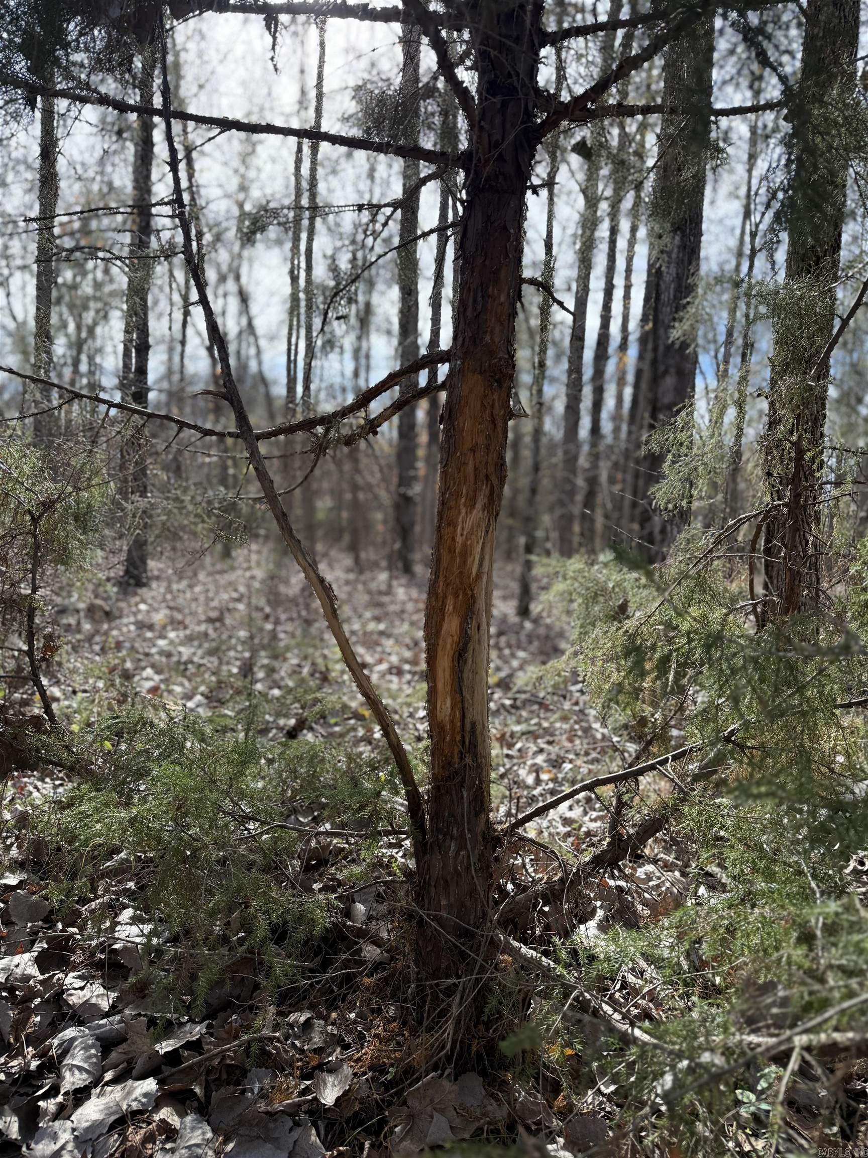 Not in Subdivision - Farm