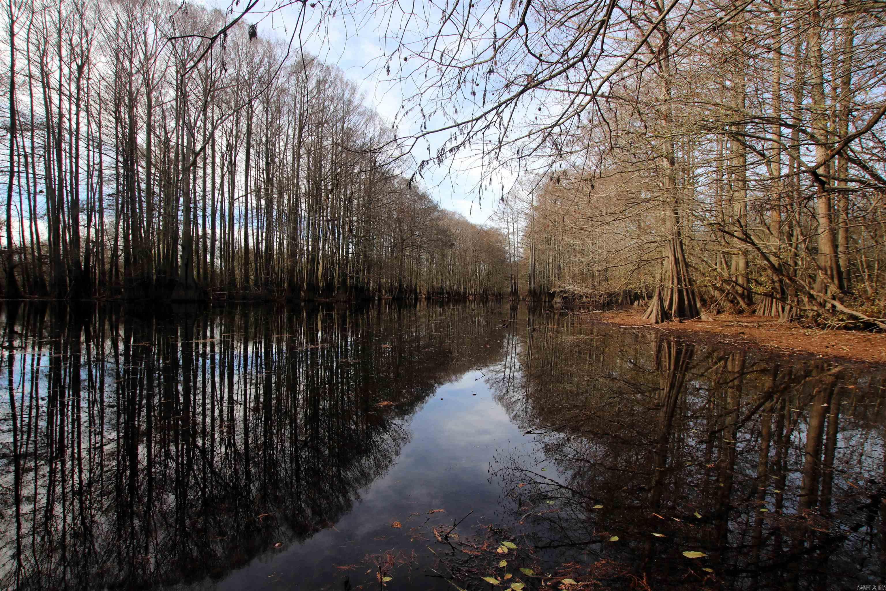 Not in Subdivision - Farm