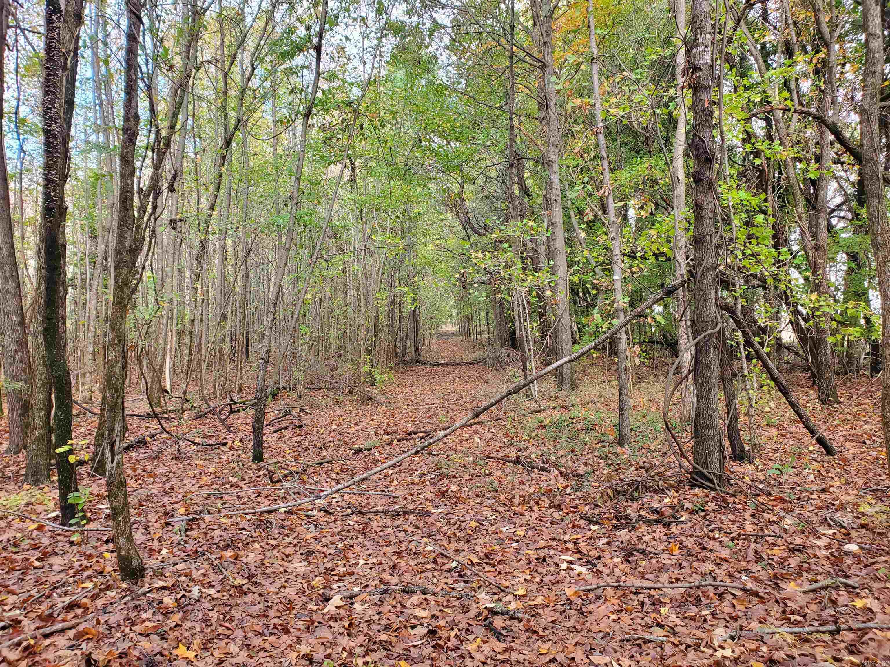 6455-6457 Hwy 62 in Pollard, AR. is two 10-acre parcels located on beautiful Crowley's Ridge. This property is a great get away for deer hunting! It has electric and water on the property.