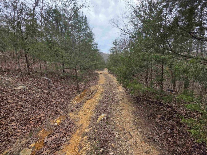 Must-see super secluded lot near Lake Sherwood in Hardy, Arkansas. This lot is in a remote location near the downtown area of Hardy. Enjoy private lake life on a hilltop while also taking advantage of town amenities. This lot allows you access to two private lakes and private recreation areas. You can also enjoy shopping, camping, parks, and river access in town. Come see this lot and pick out the building spot for your home or cabin.