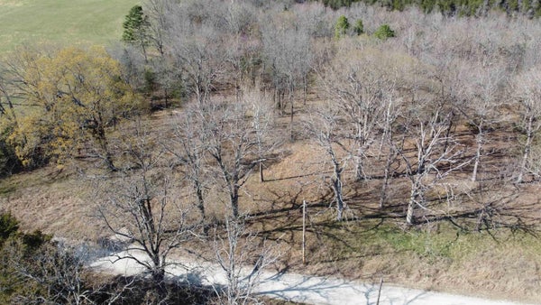 151 VANCE RD, PROTEM, MO 65733 - Image 1b5e9bb603c2e40df5a723abf0690a0e/4064975381